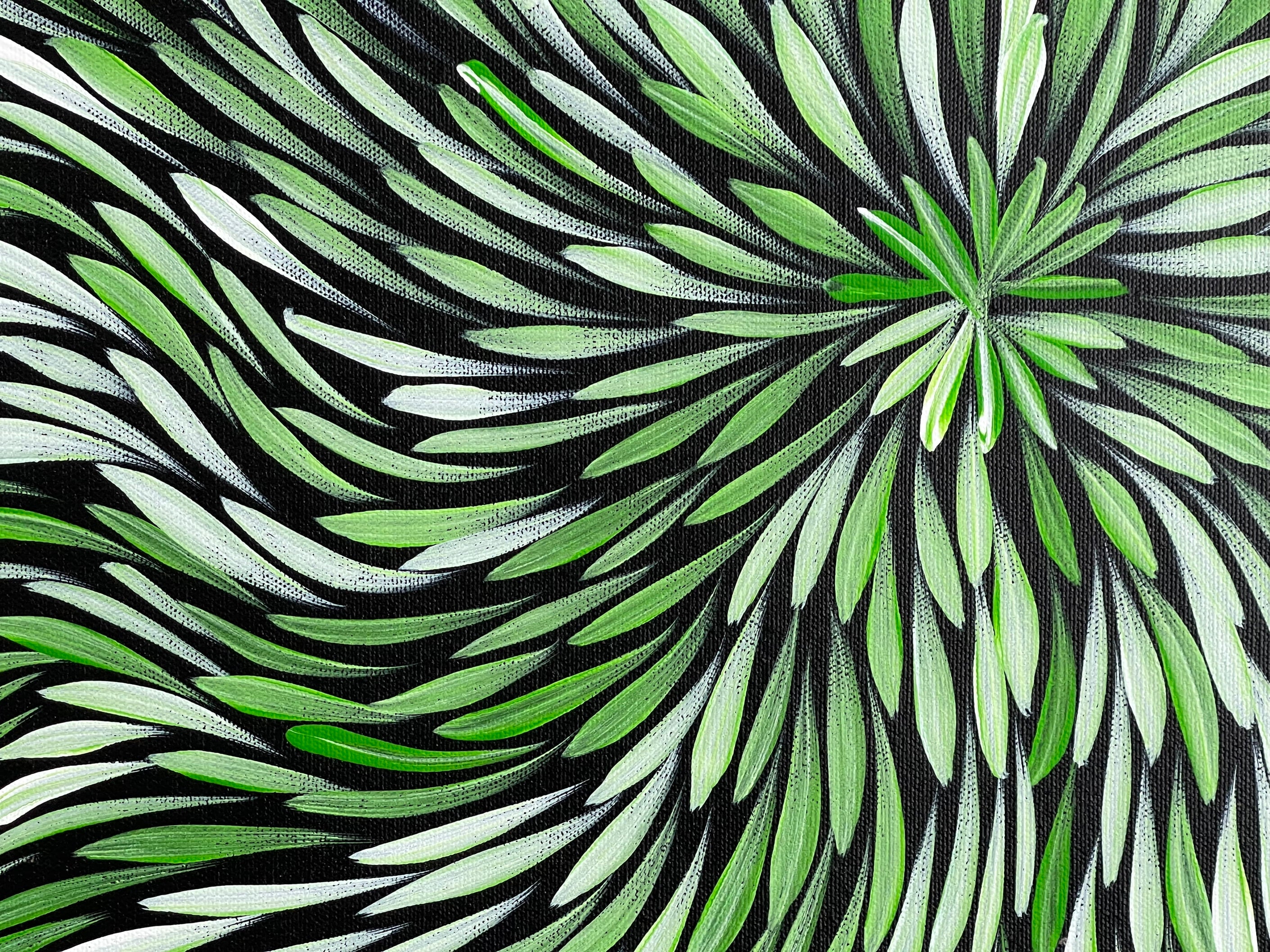 Sharon Numina - Bush Medicine Leaves- 38x52cm 91-19