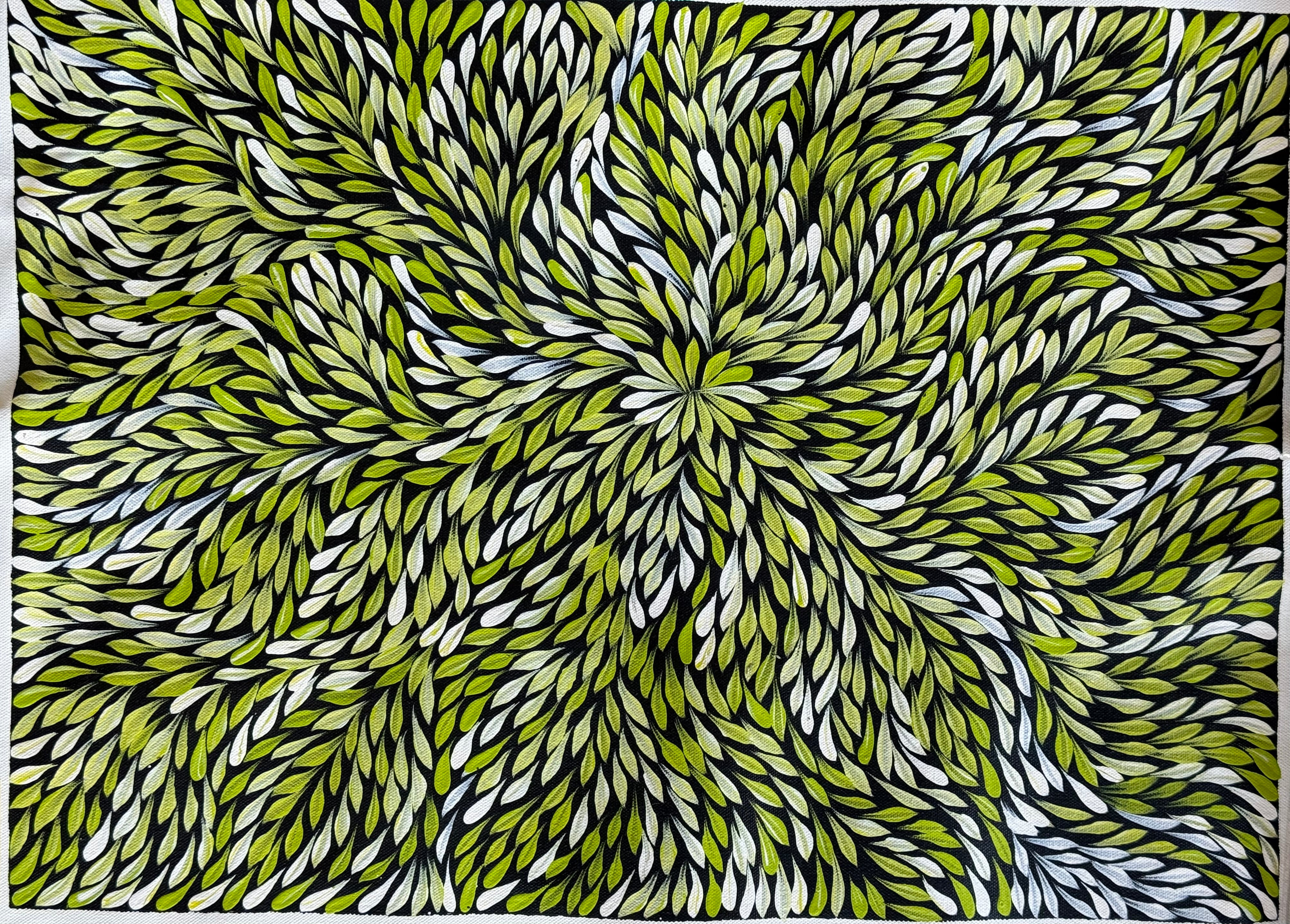 Sharon Turner - Bush Medicine Leaves .07-5