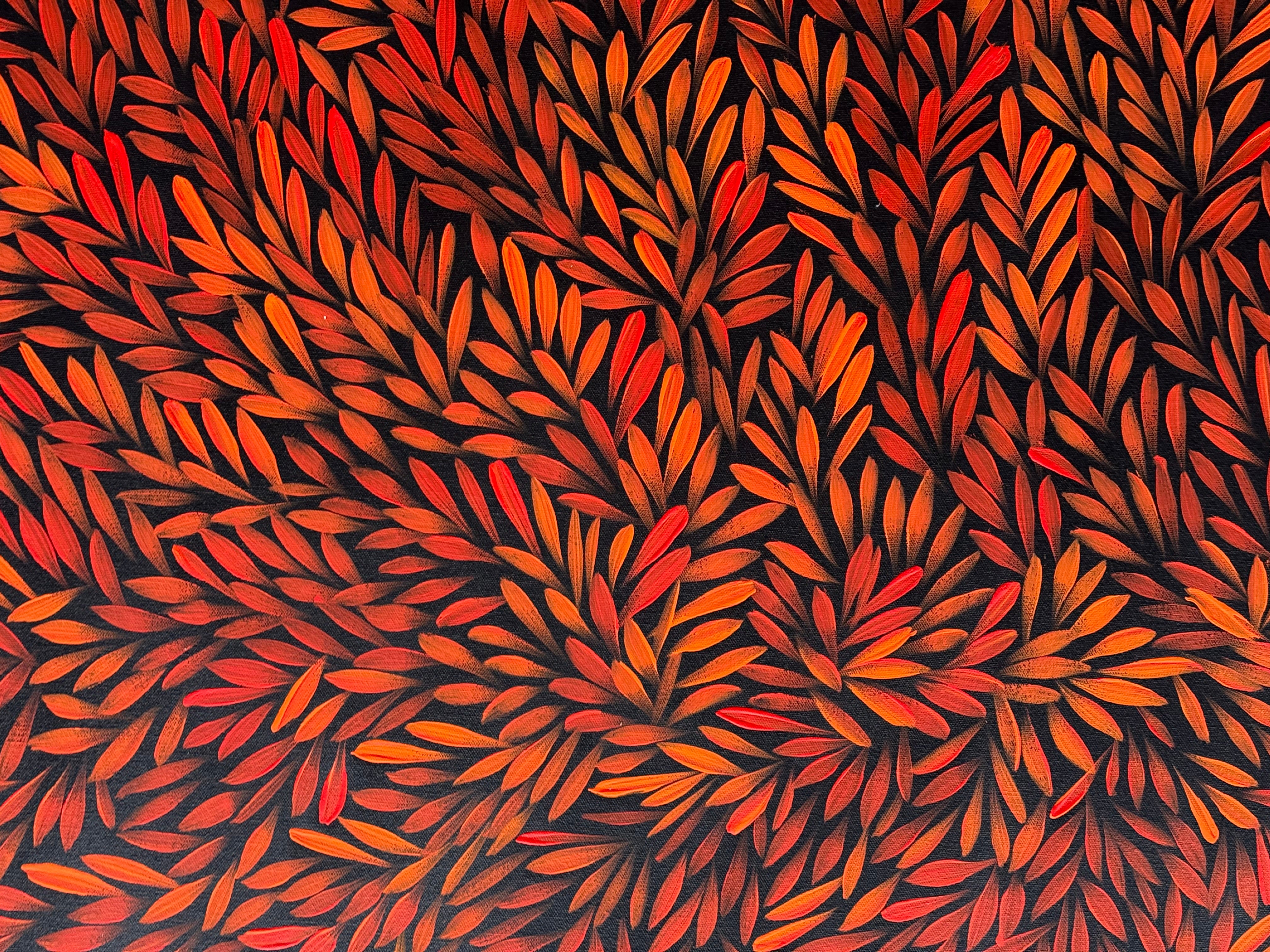 Sharon Numina - Bush Medicine Leaves .68-9