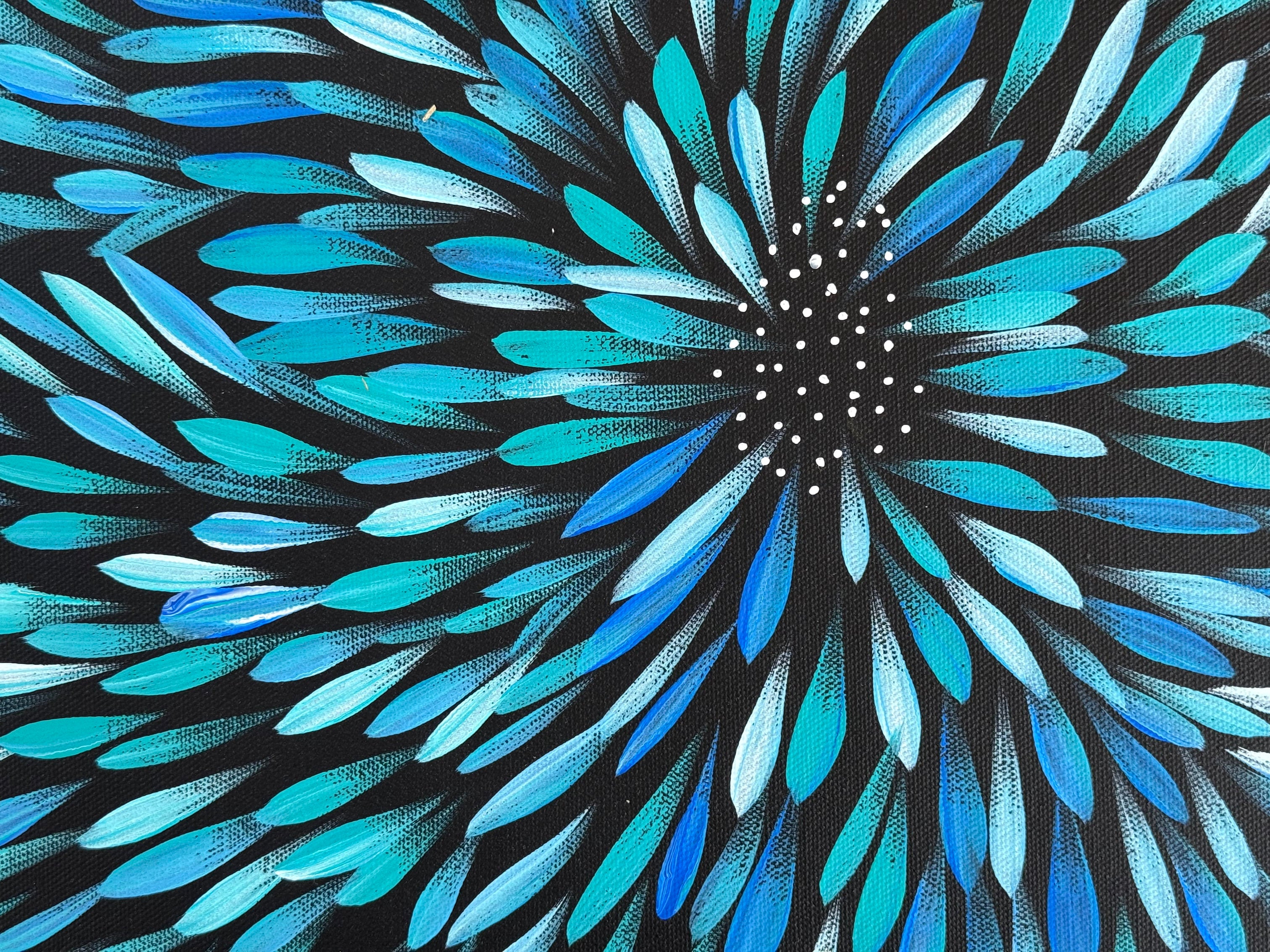 Selina Numina Kamprina - Tobacco Plants and Seeds  .31-21