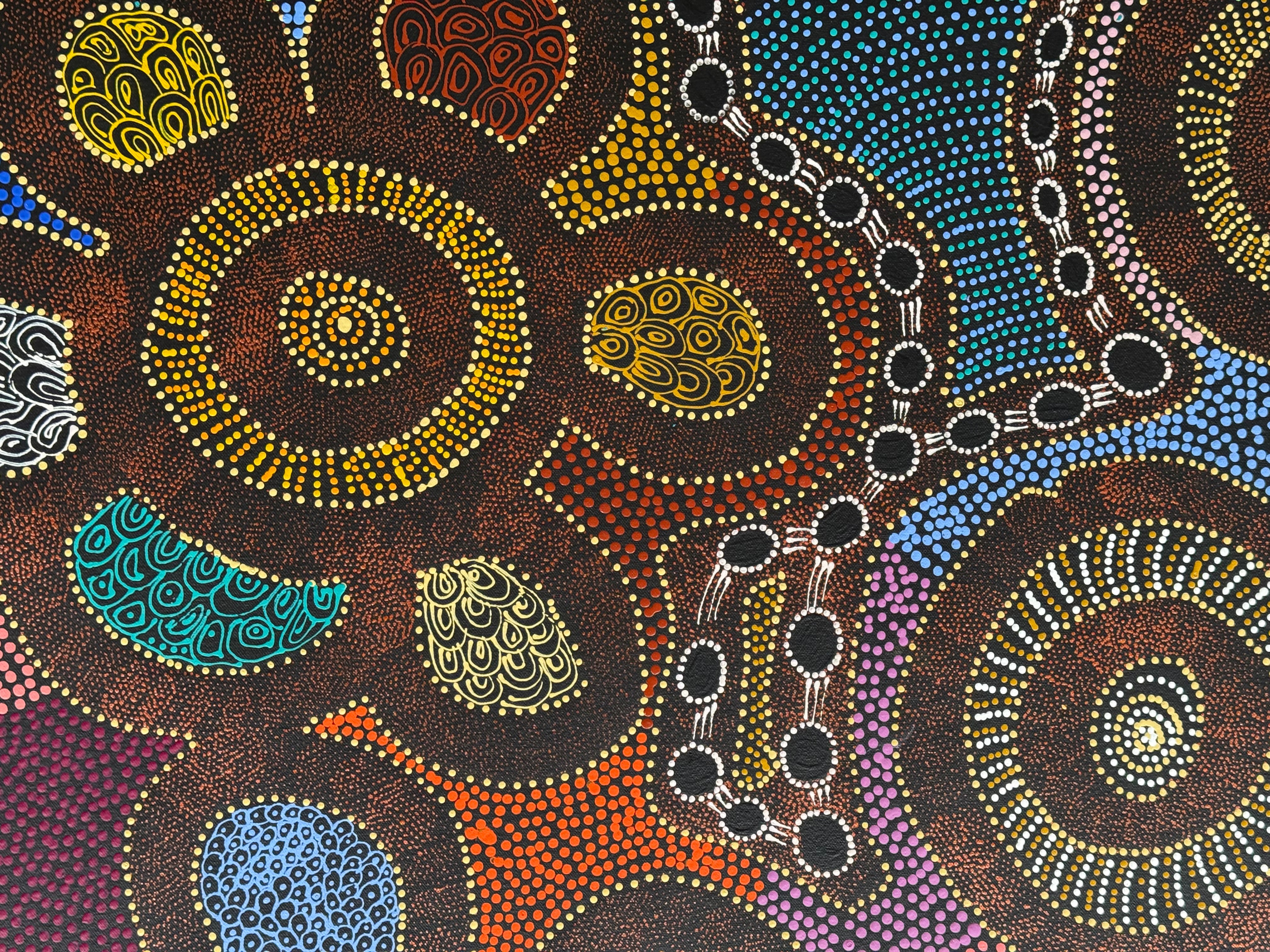 Caroline Numina - Thorny Lizard .87-5