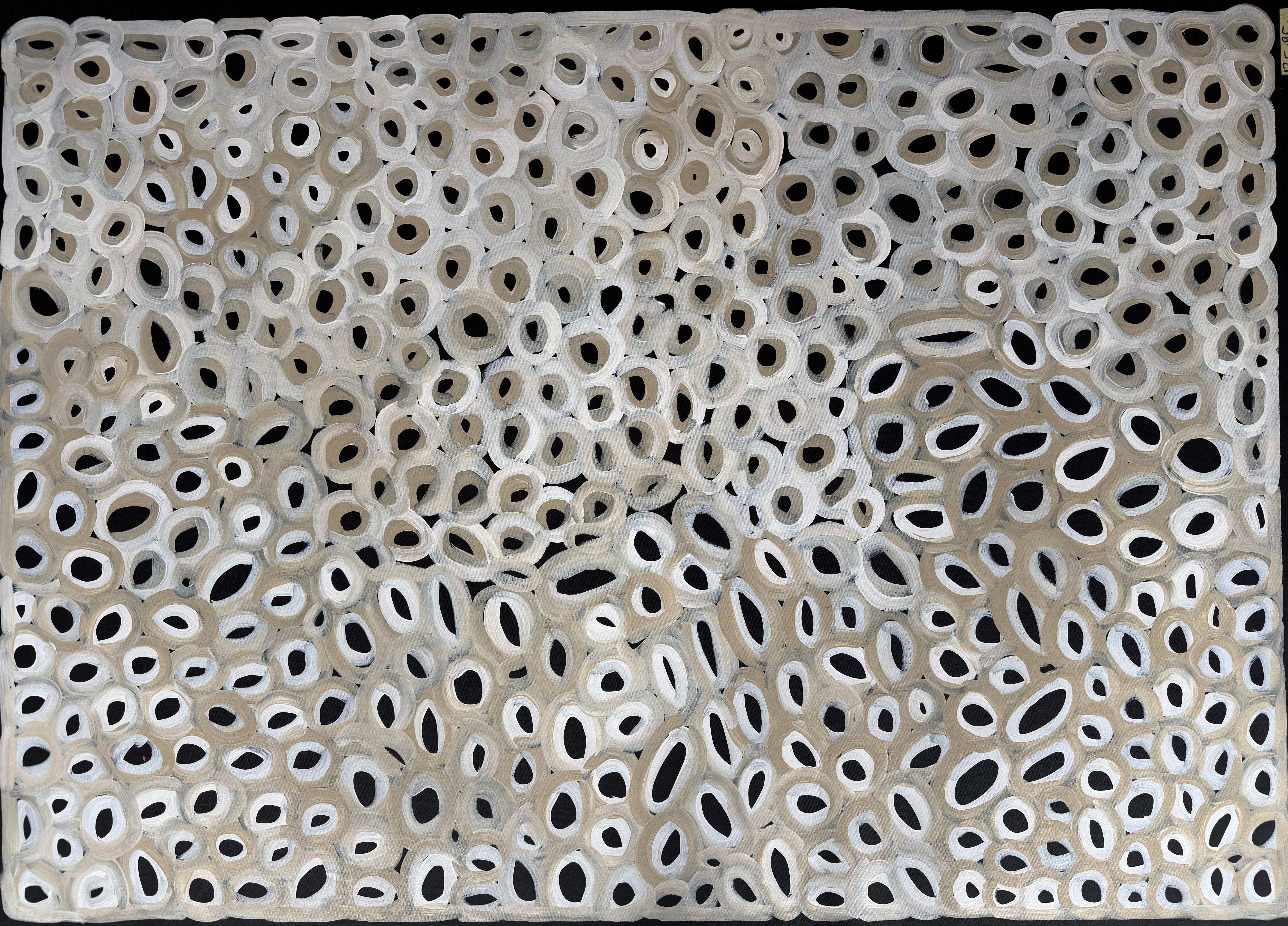 Louise Numina Napananka - Water Soakage .90-16