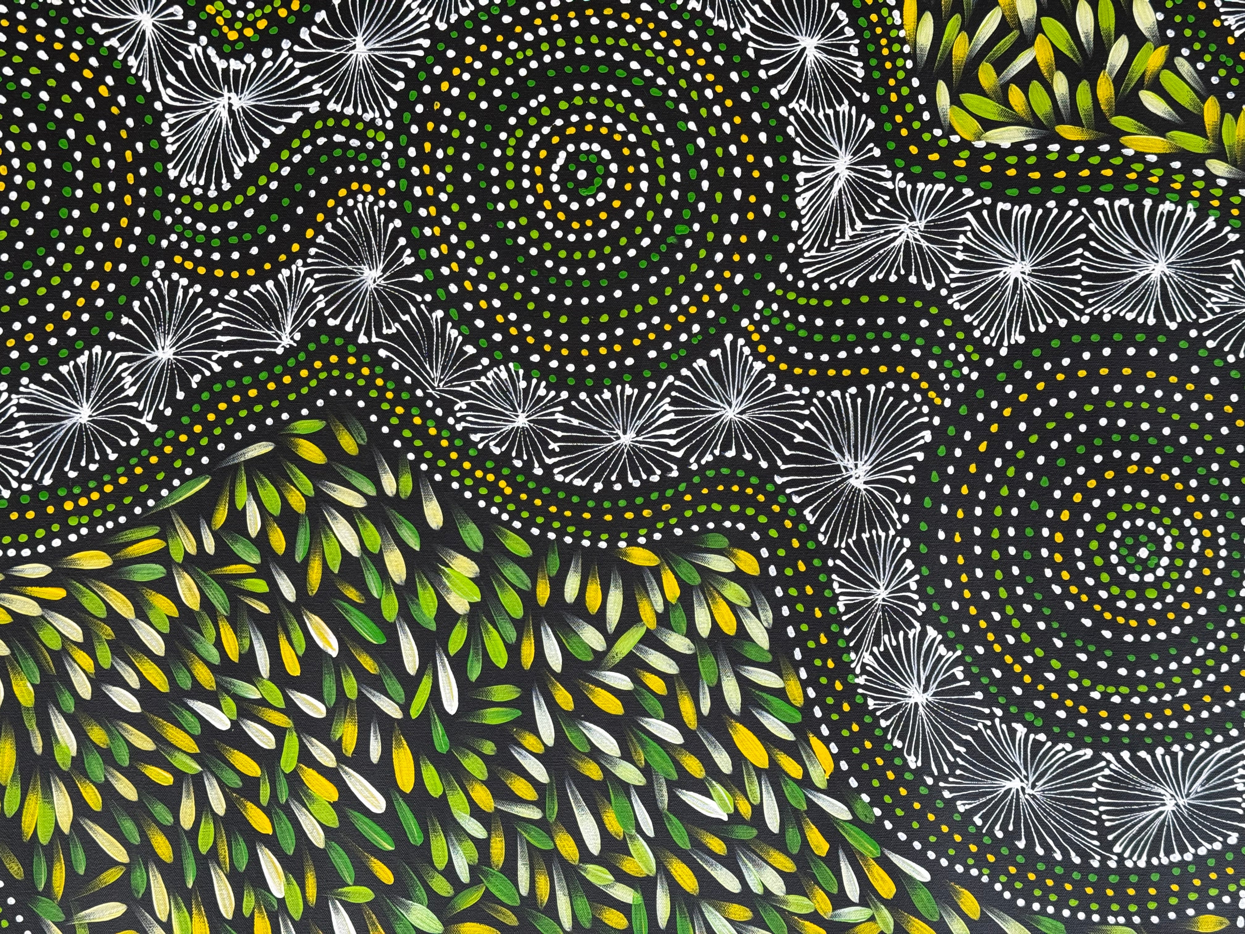 Selina Numina Kamprina - Seeds and Waterholes .92-13