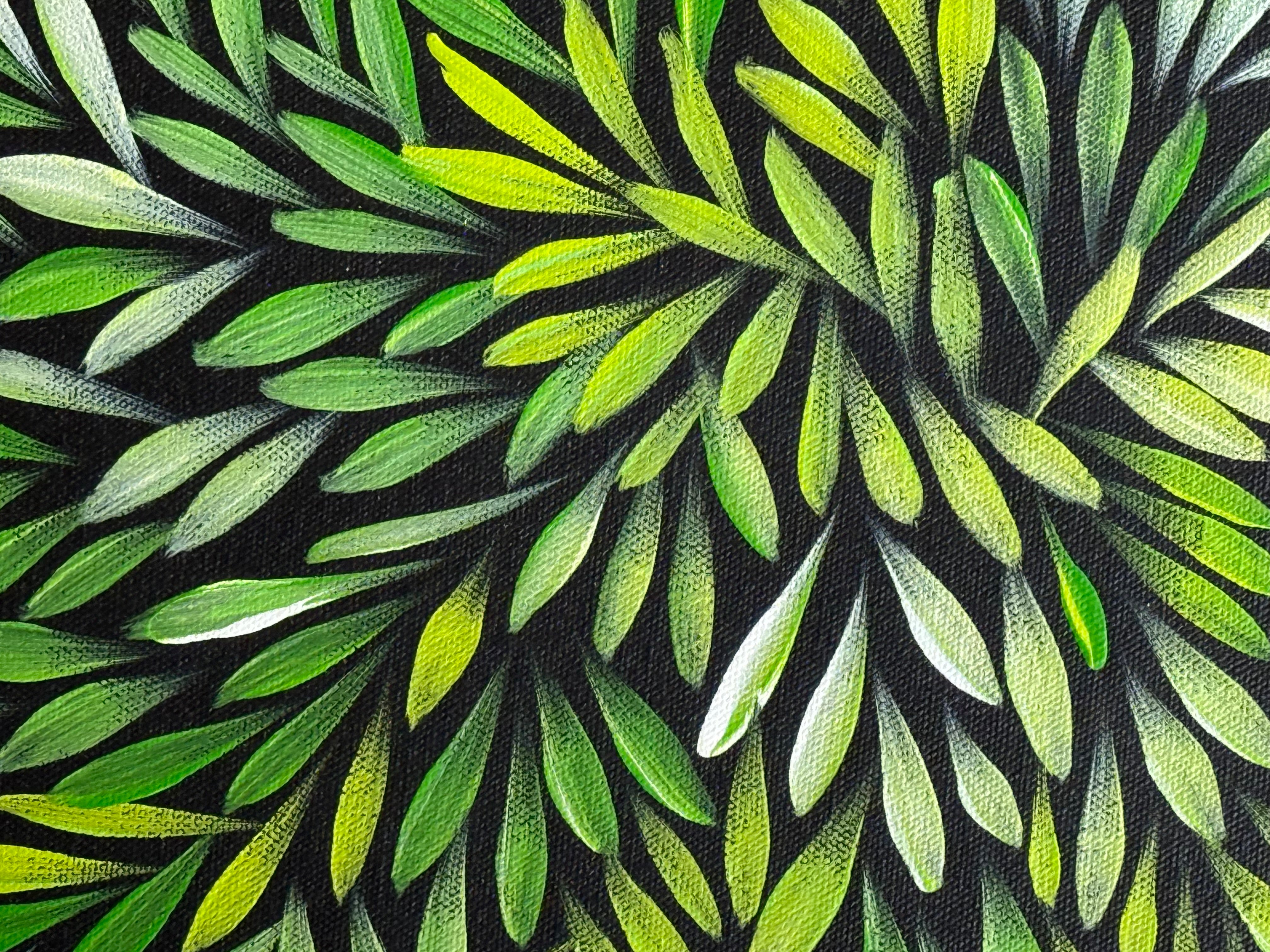 Sharon Numina - Bush Medicine Leaves .14-47