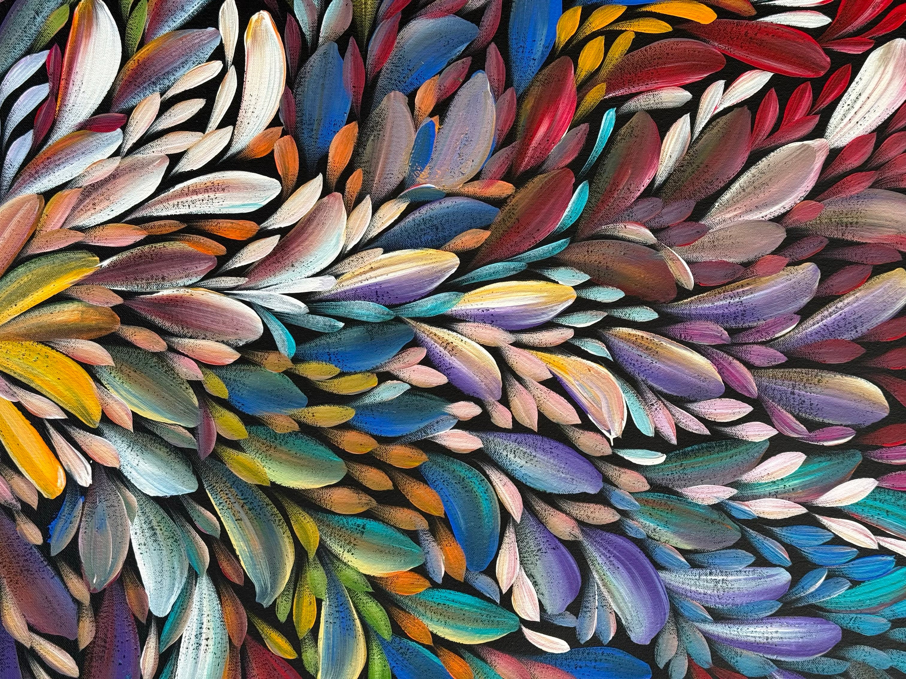 Louise Numina Napananka - Bush Medicine Leaves .65-5