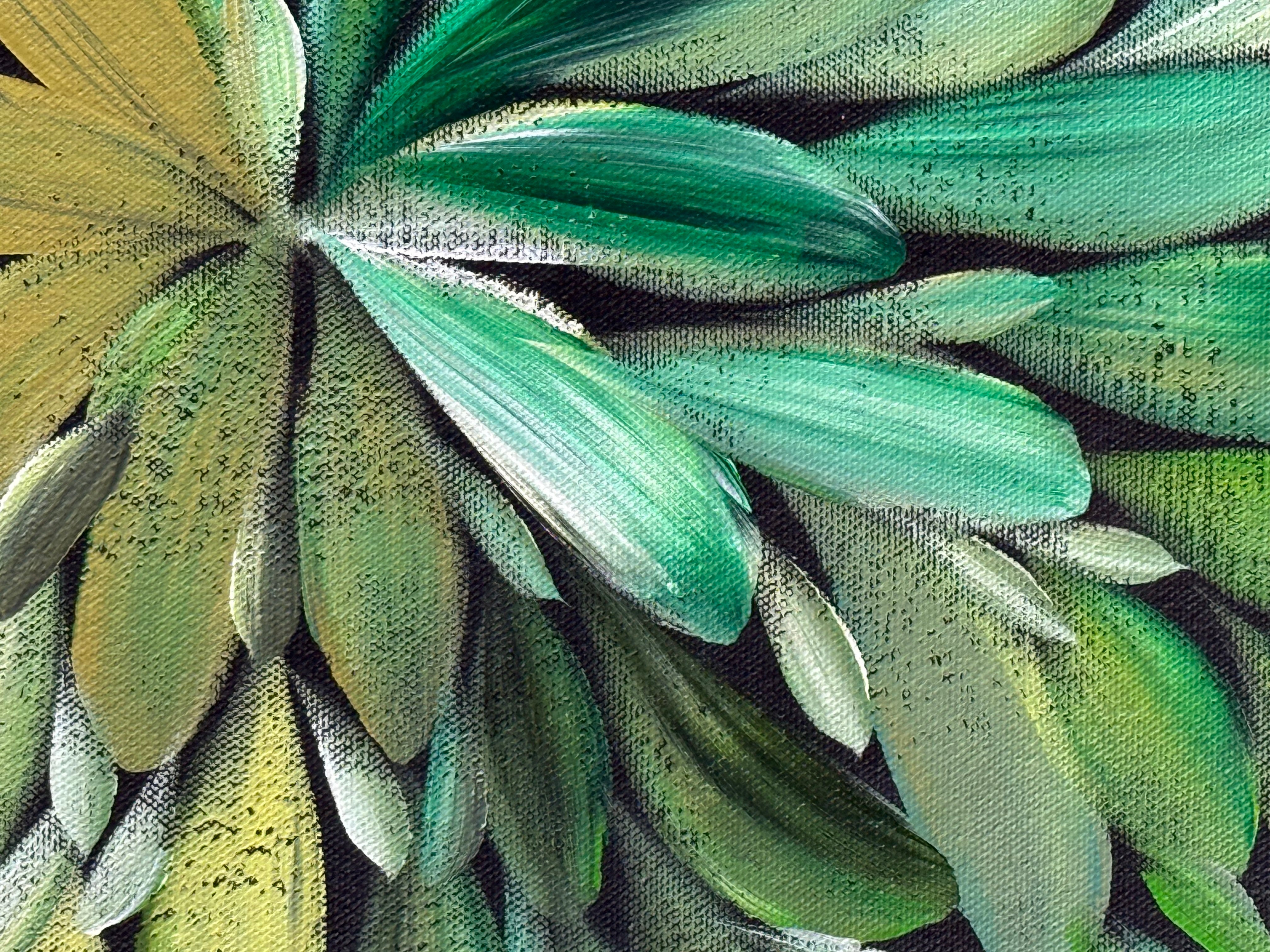 Louise Numina Napananka - Bush Medicine Leaves .22-9