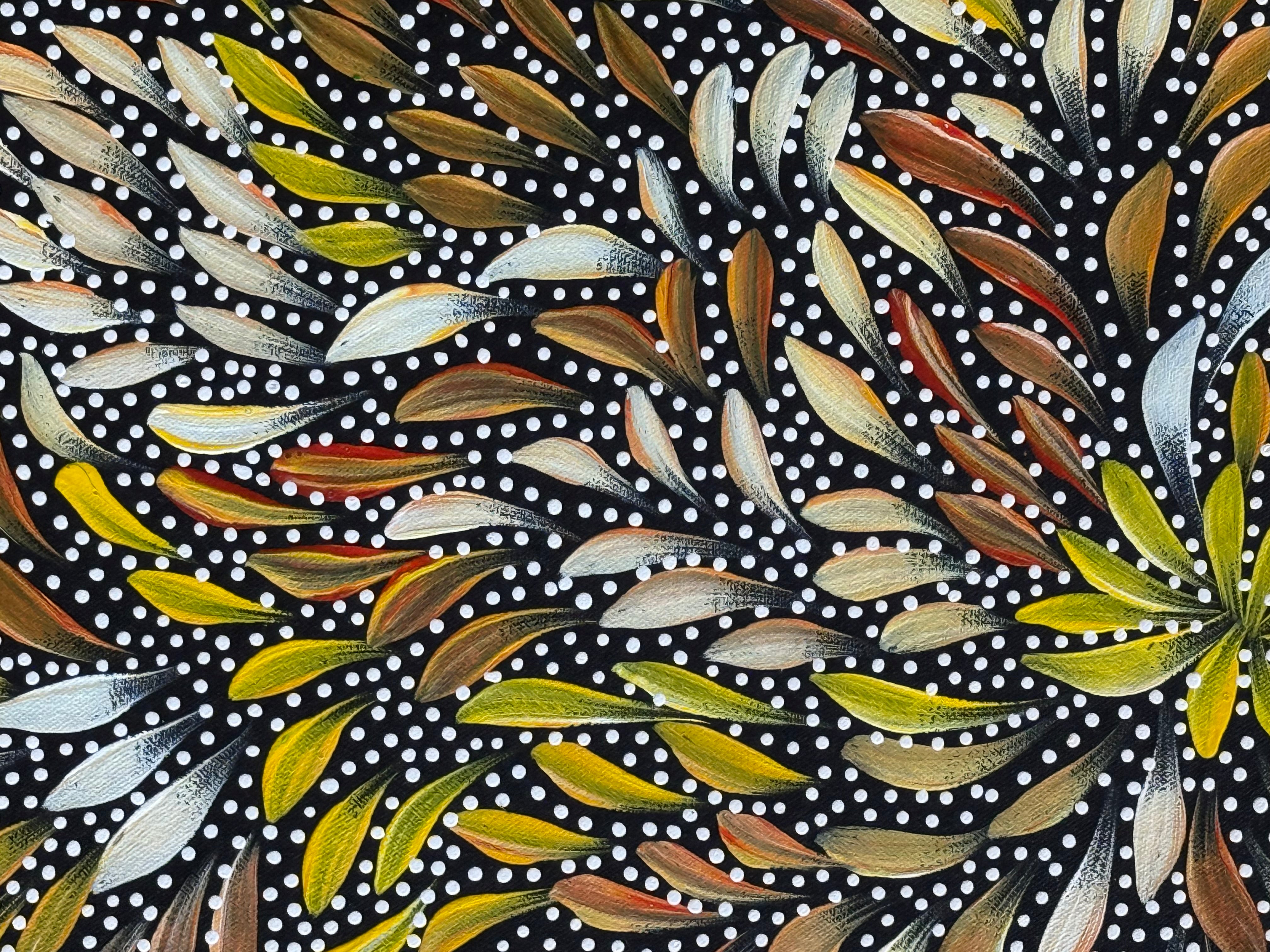 Caroline Numina - Seeded Bush Medicine Leaves .04-29
