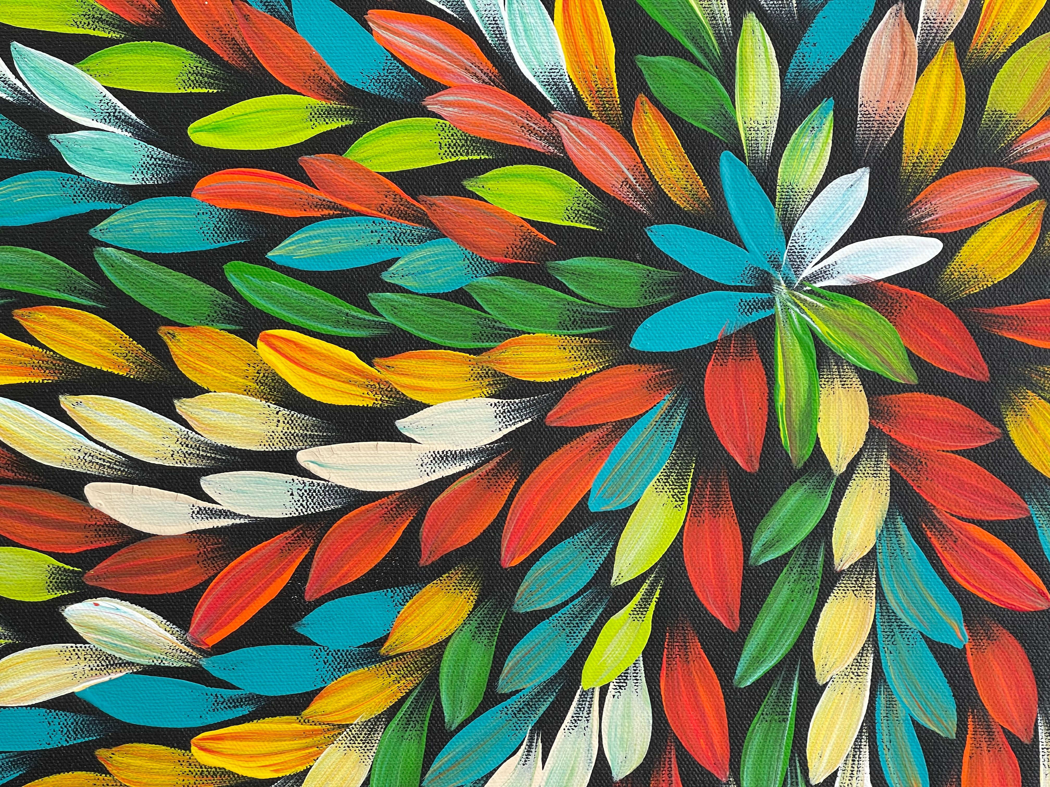Jacinta Numina Waugh - Bush Medicine Leaves - 36x52cm .57-4