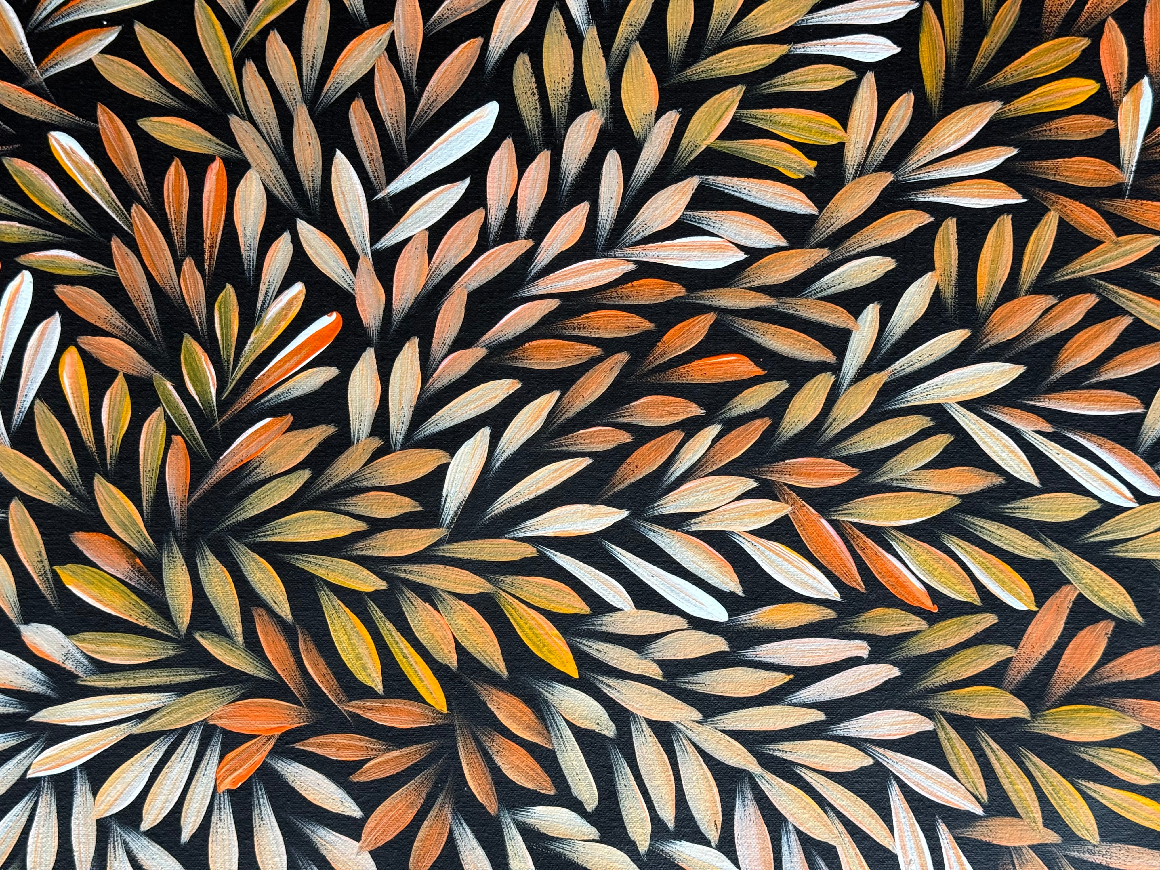 Sharon Numina - Bush Medicine Leaves .14-10