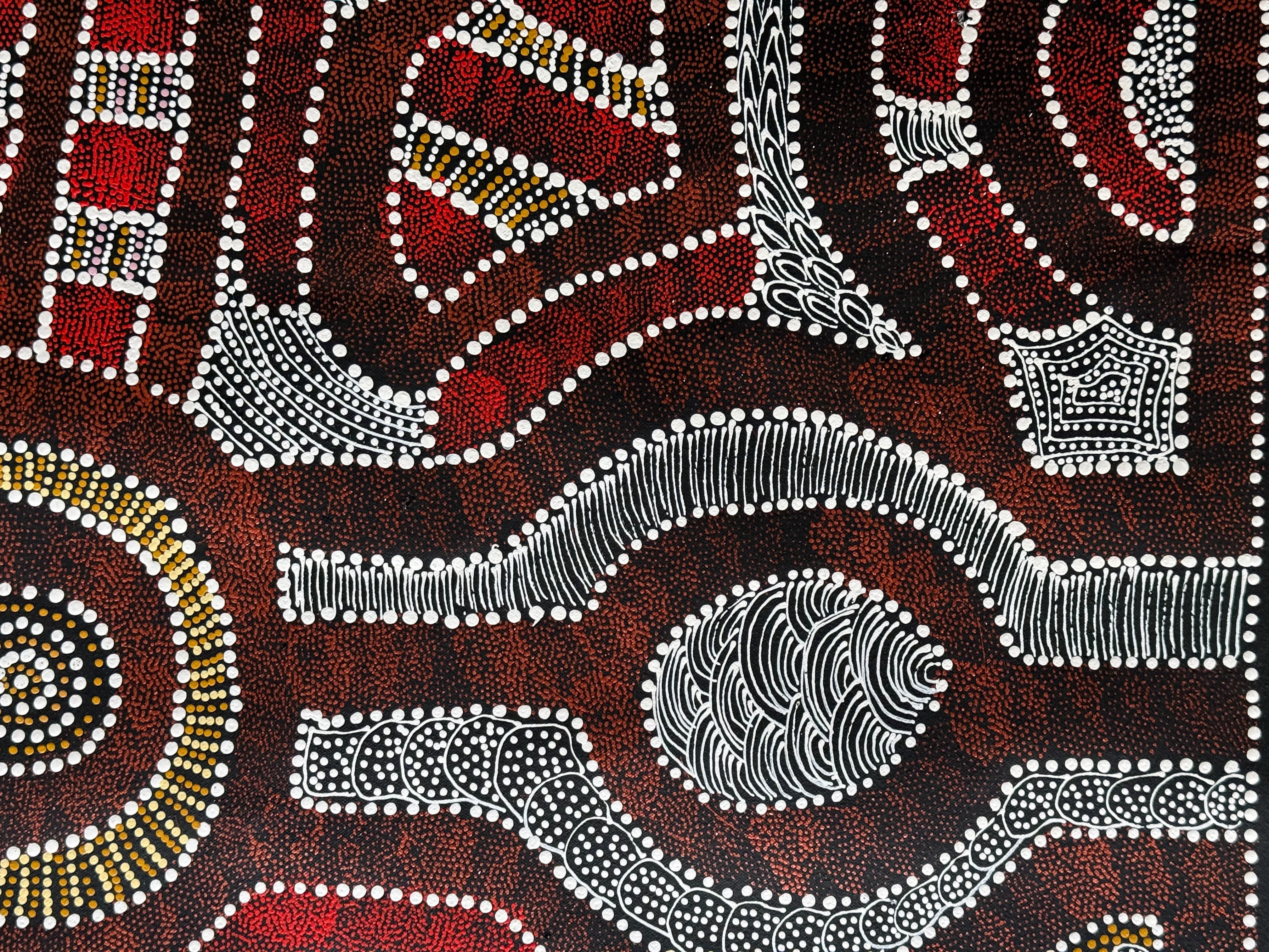 Caroline Numina - My Country, Thorny Lizard Dreaming .35-5