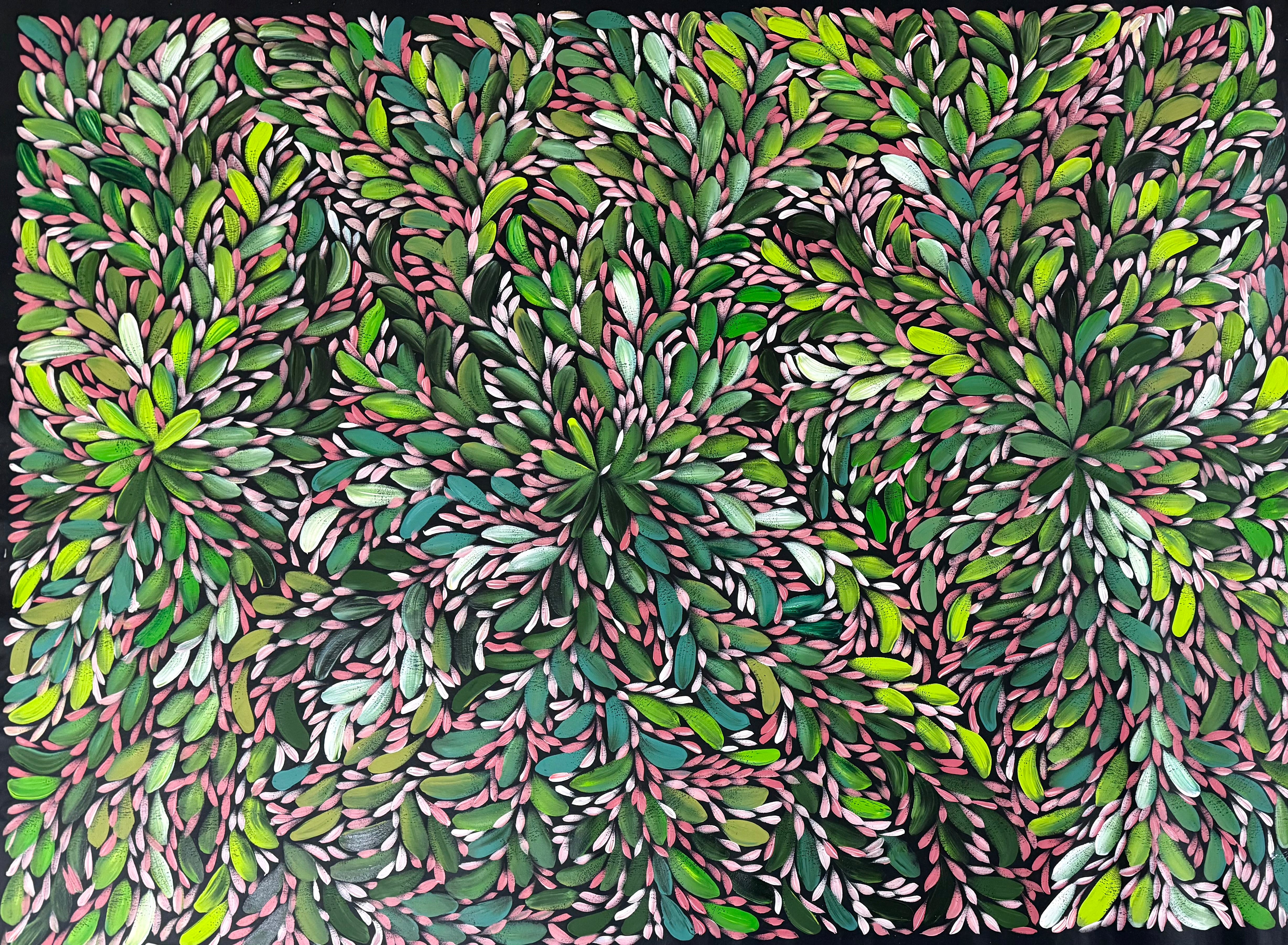 Louise Numina Napananka - Bush Medicine Leaves .22-10