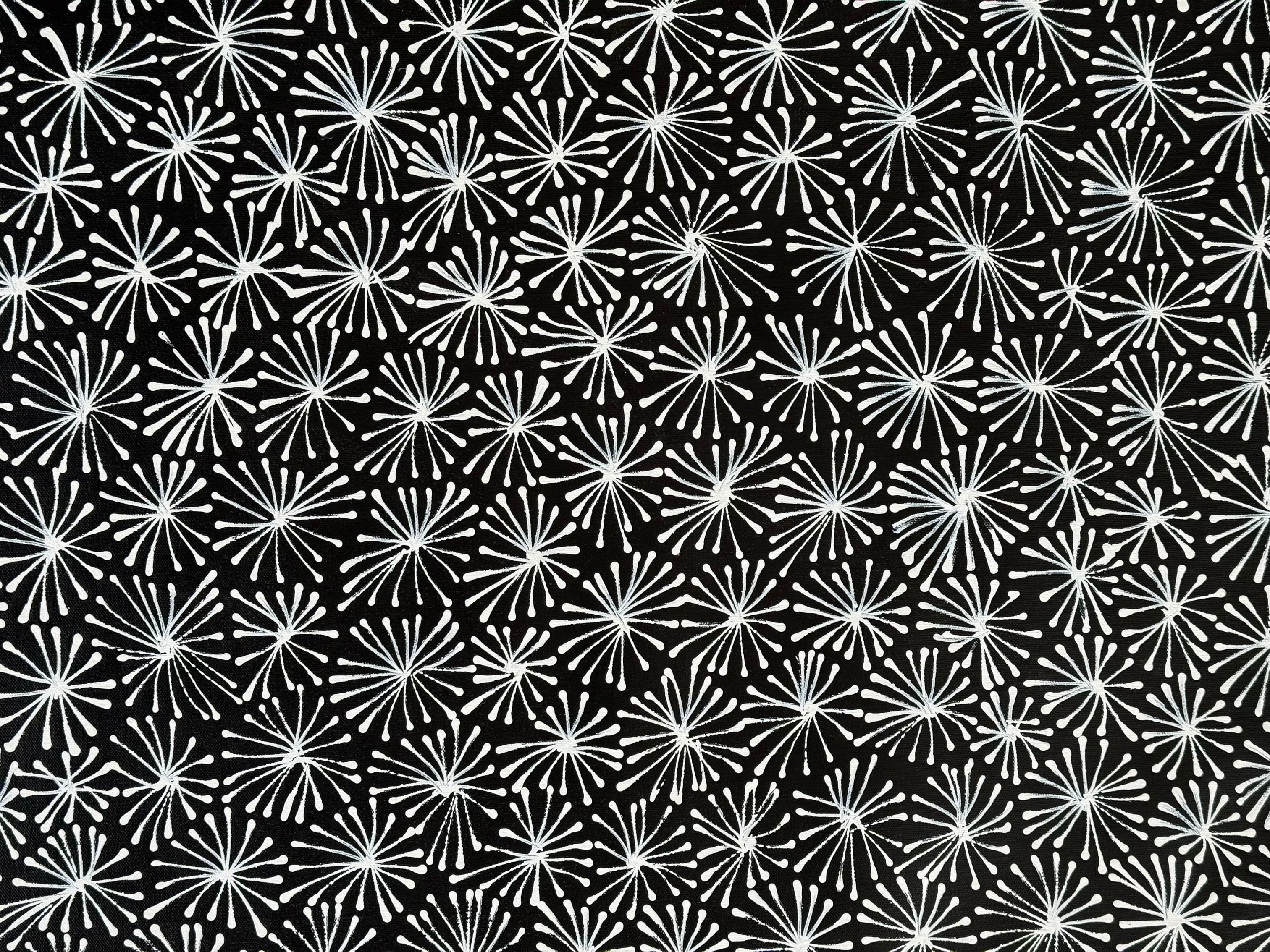 Sharon Numina - Thorny Lizard Skins .68-3