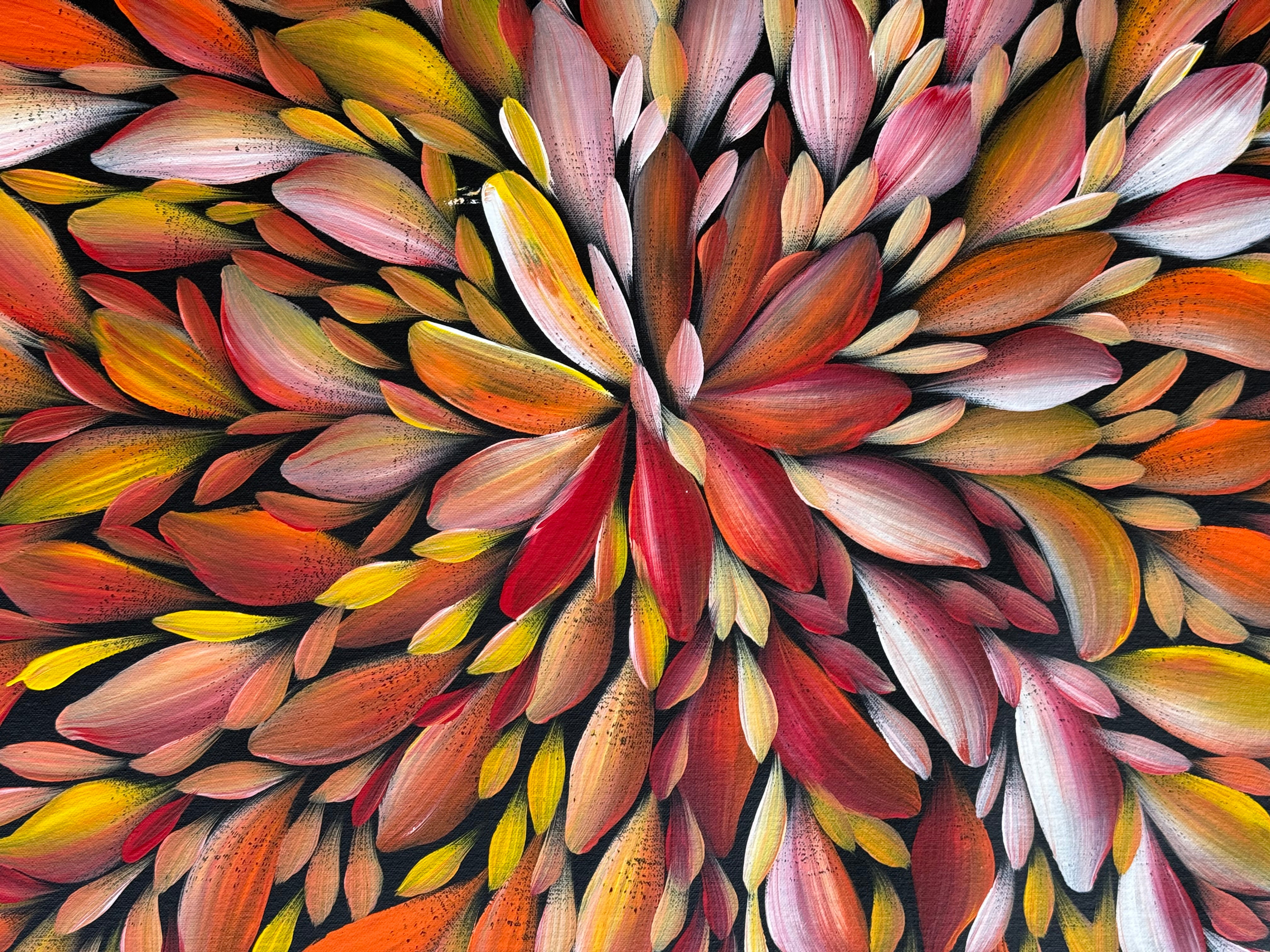 Louise Numina Napananka - Bush Medicine Leaves .75-19