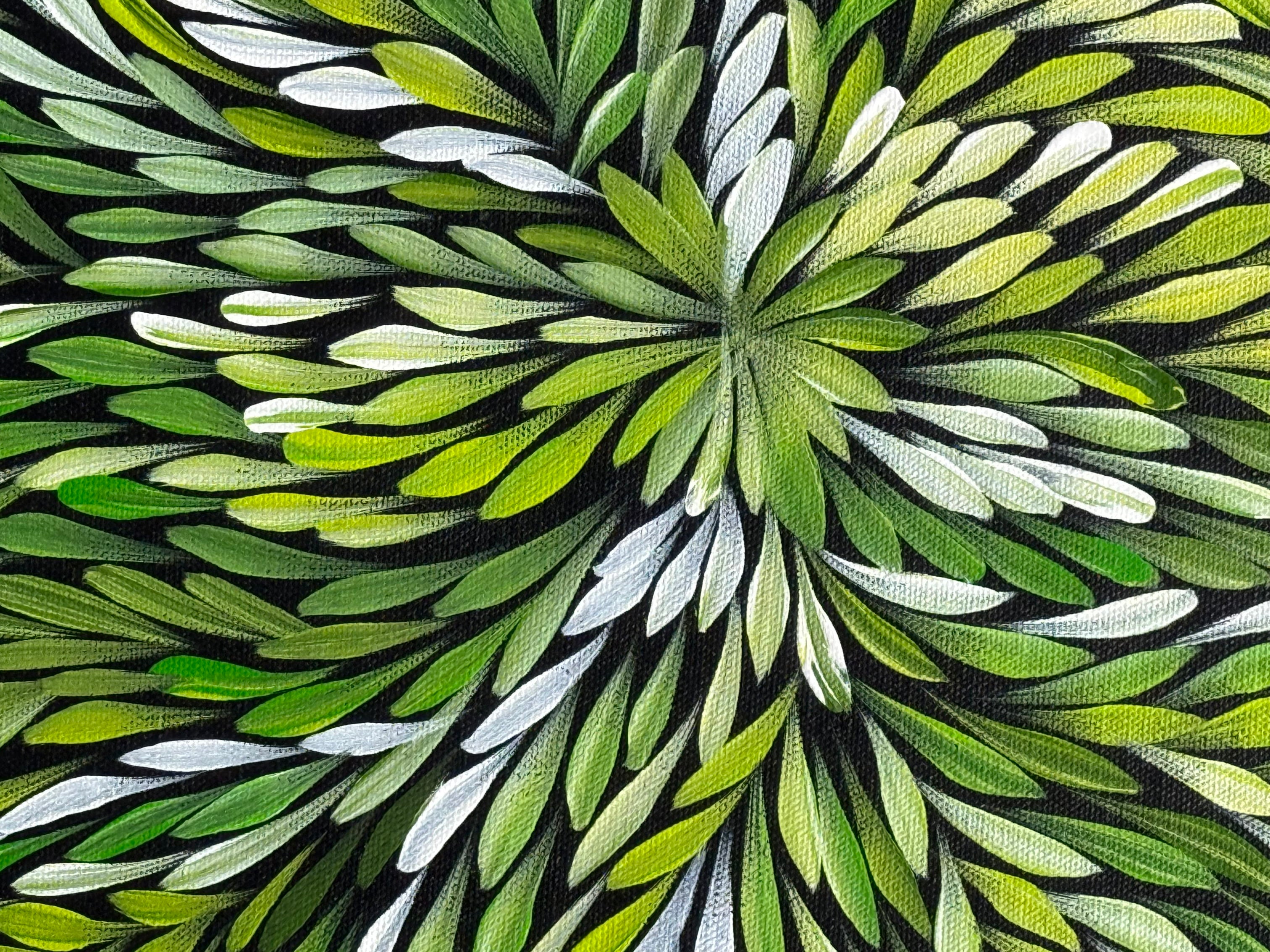 Sharon Turner - Bush Medicine Leaves - 52x38cm .16-18