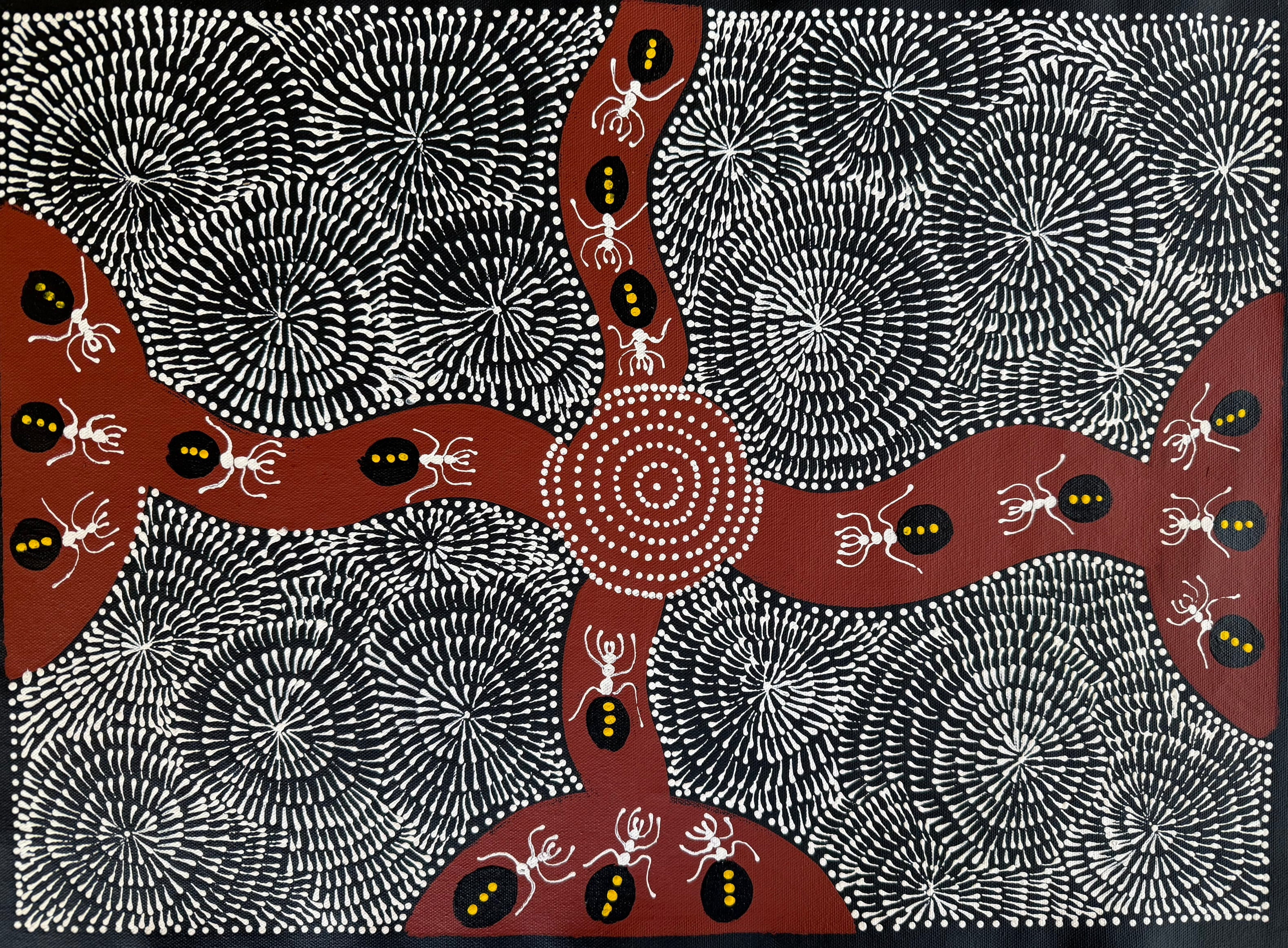 Aboriginal Art by Caroline Numina Depicting Bush Tucker, with honey ants funneling along brown paths into the centre, surrounded by white on black flowery objects