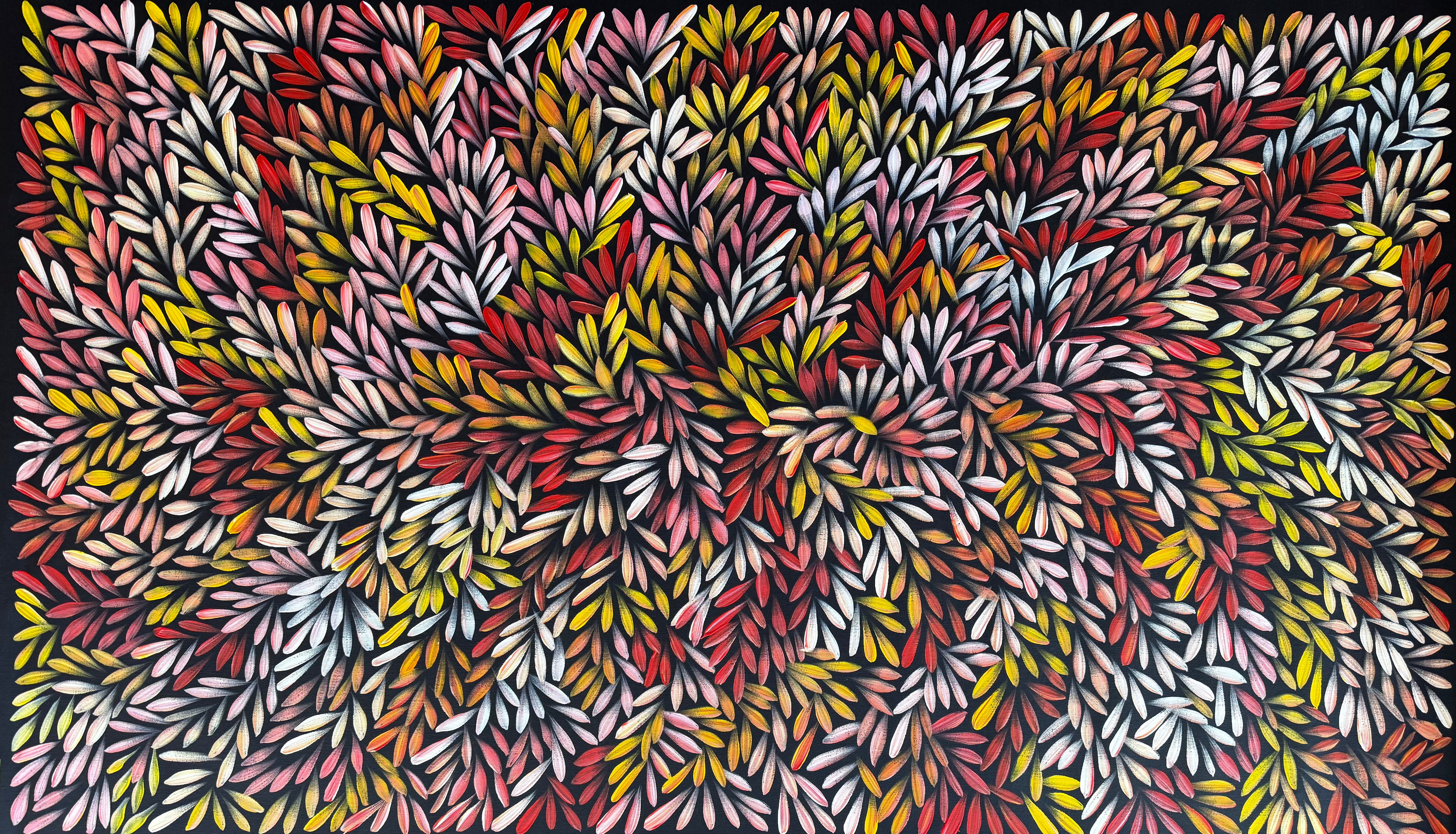 Sharon Numina - Bush Medicine Leaves .95-4