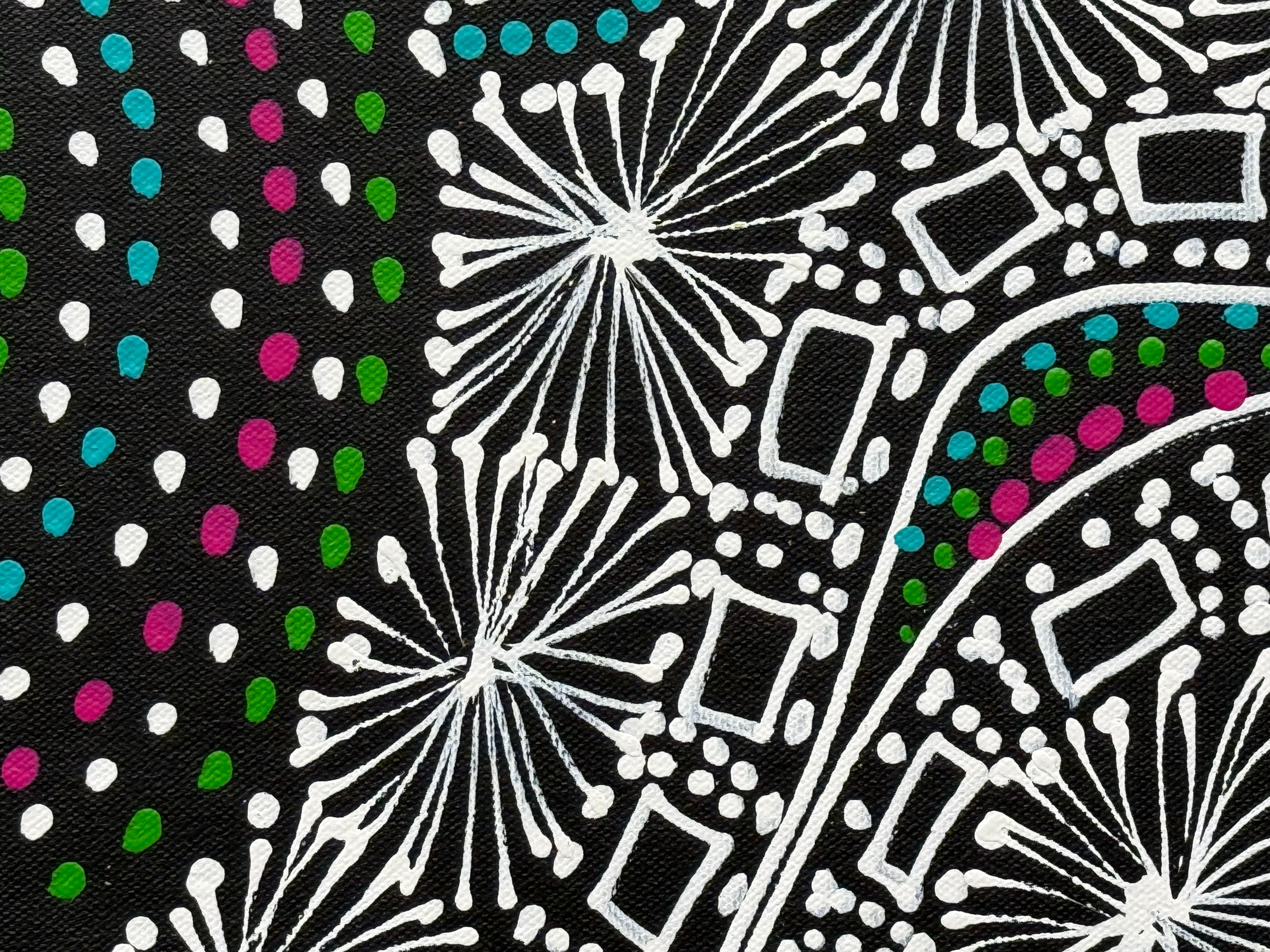 Selina Numina Kamprina - Seeds and Waterholes .92-2