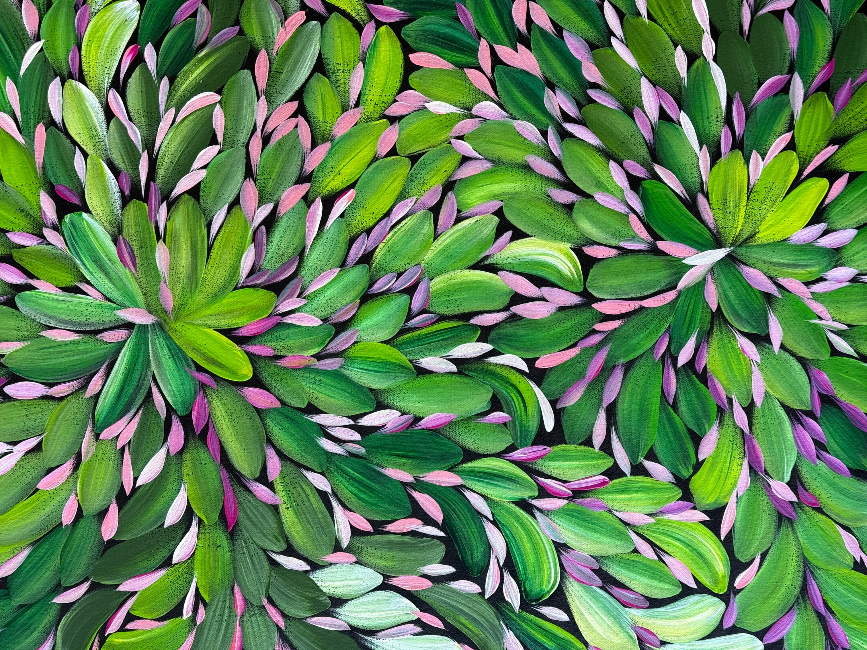 Louise Numina Napananka - Bush Medicine Leaves .23-2
