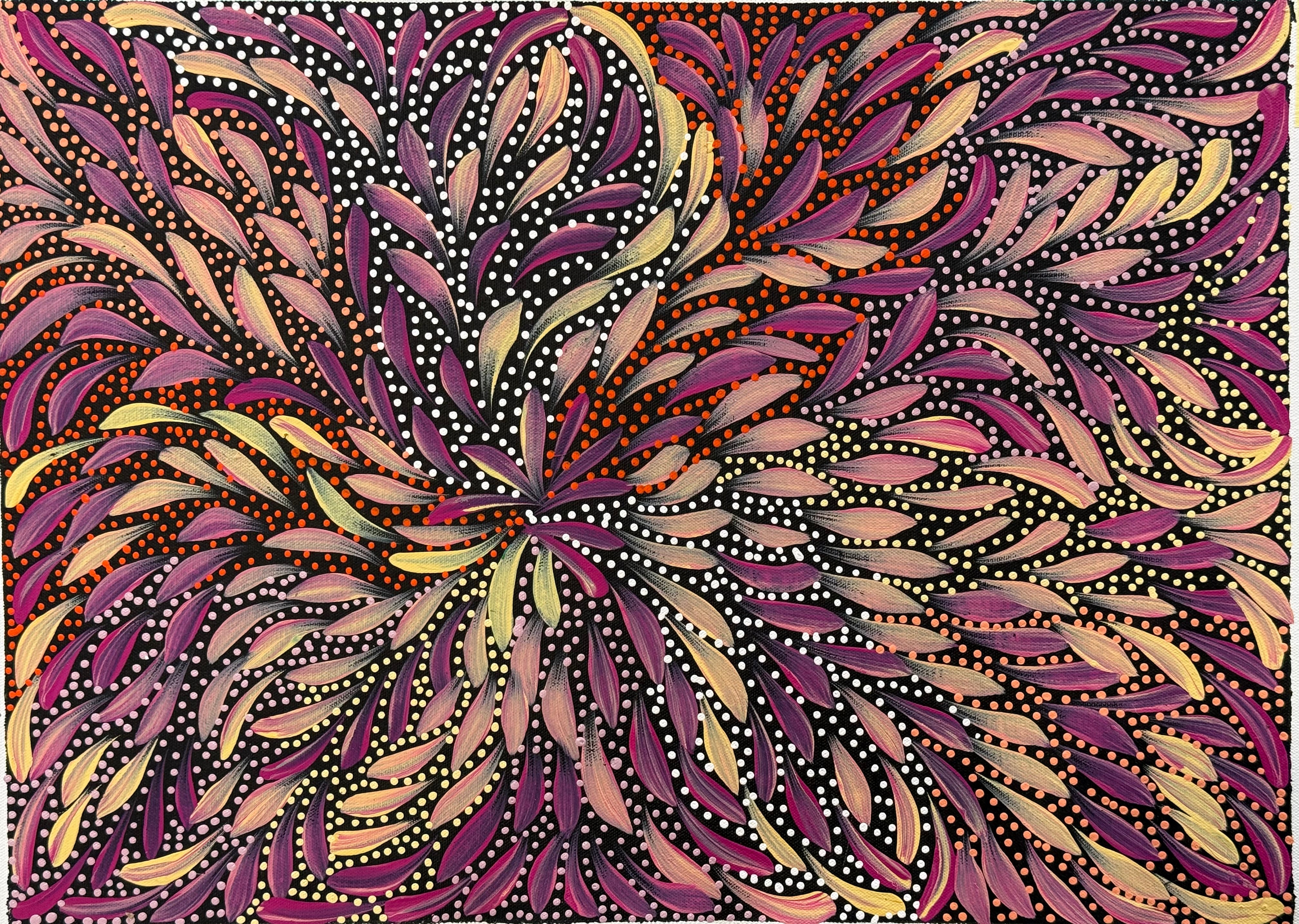 Caroline Numina - Bush Medicine Leaves and Seeds .04-15
