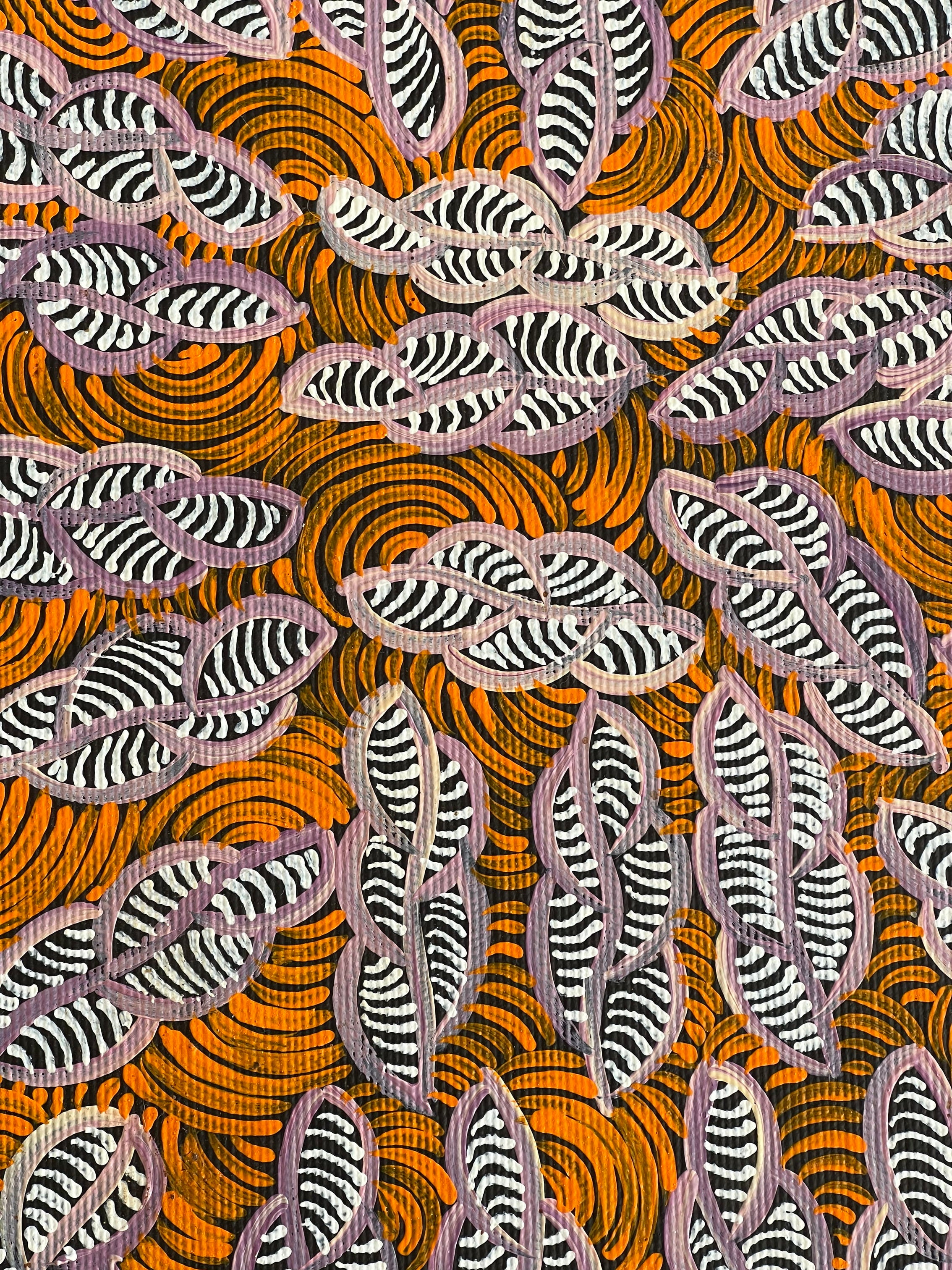 Geraldine Napurrurla Langdon - Ngurlu Jukurrpa (Native Seed Dreaming) - 30x30cm Stretched