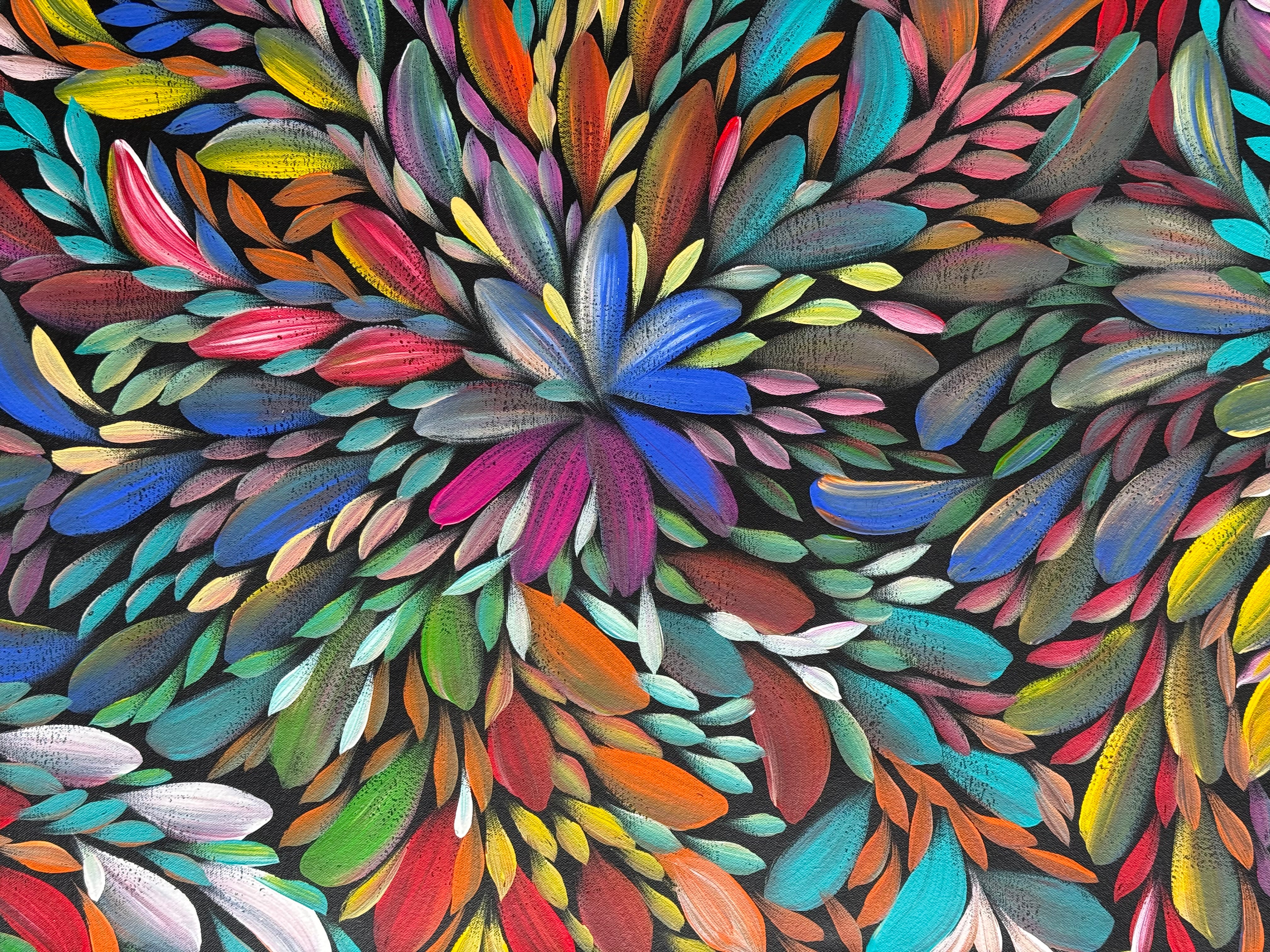 Louise Numina Napananka - Bush Medicine Leaves .09-4