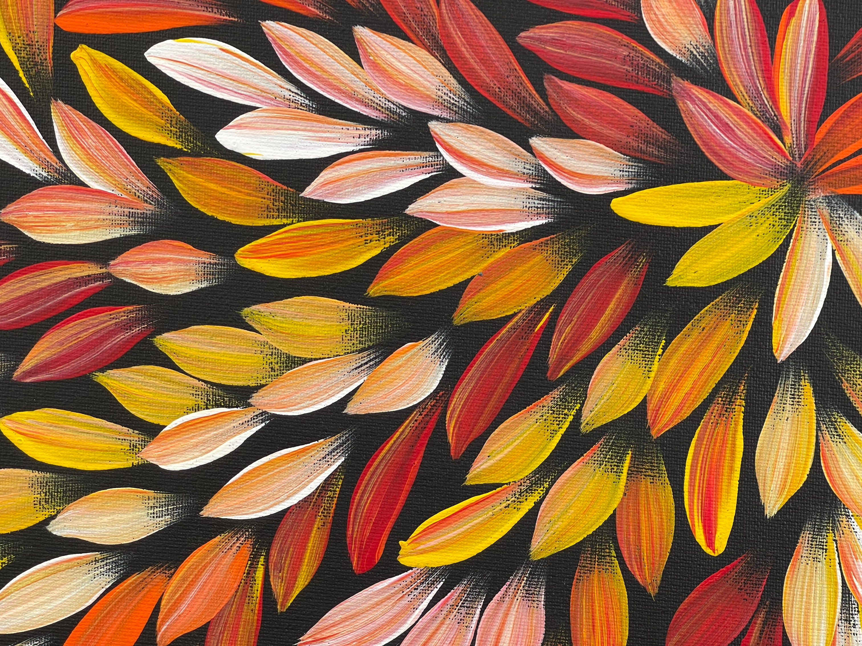 Jacinta Numina - Bush Medicine Leaves - 38x53cm .39-7