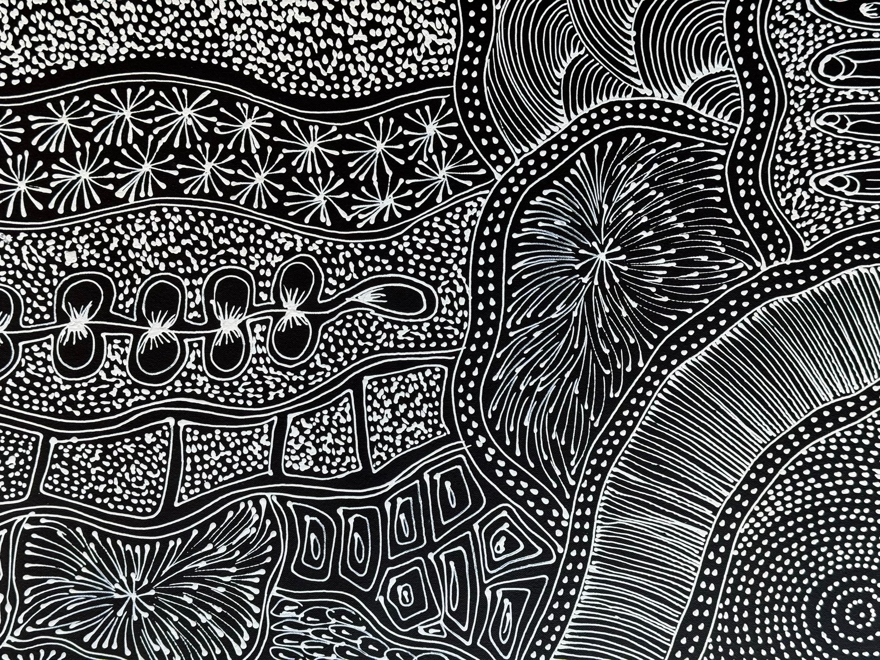 Sharon Numina - Women Collecting Bush Foods and Bush Medicine .40-10