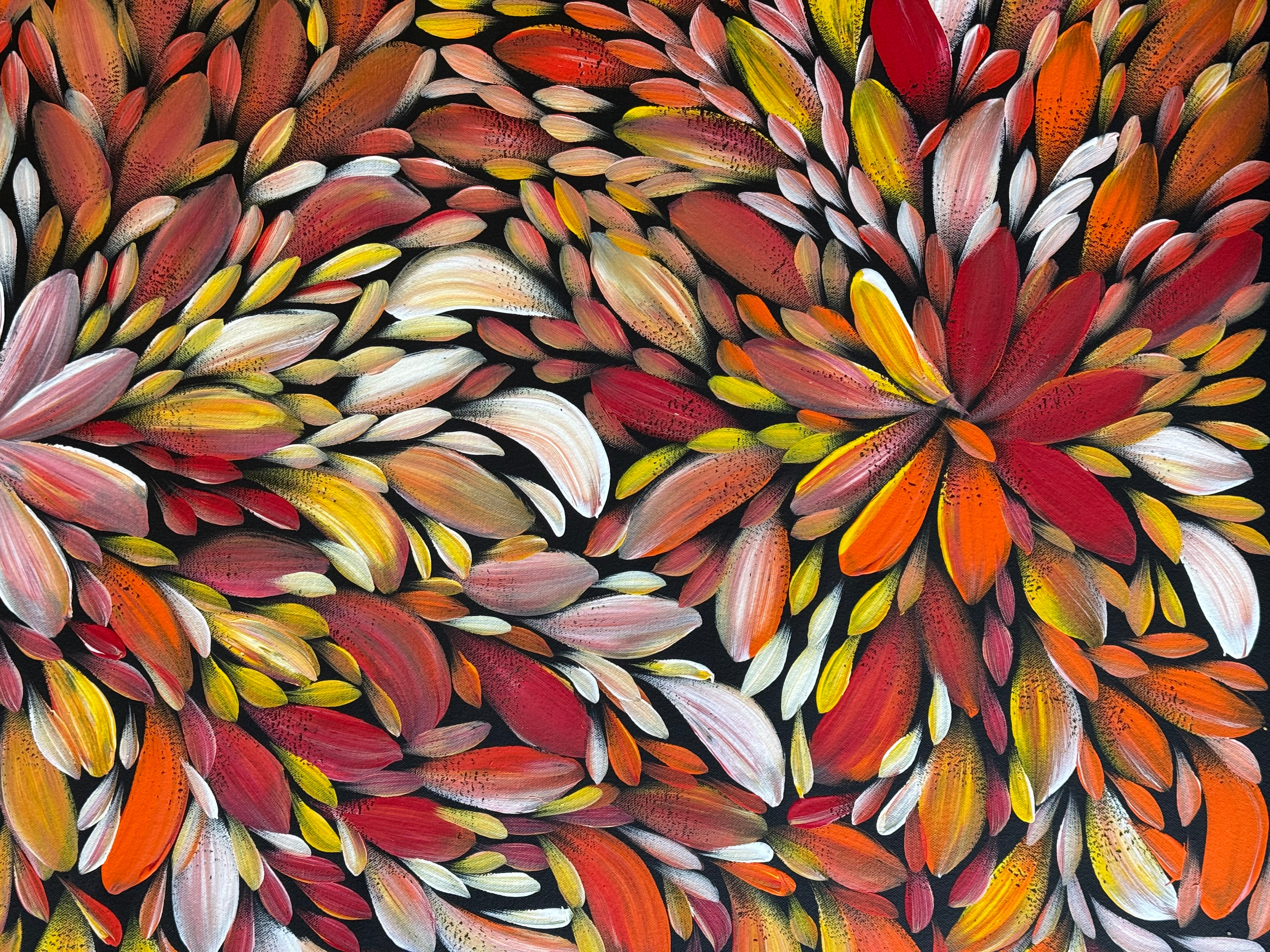 Louise Numina Napananka - Bush Medicine Leaves .21-16