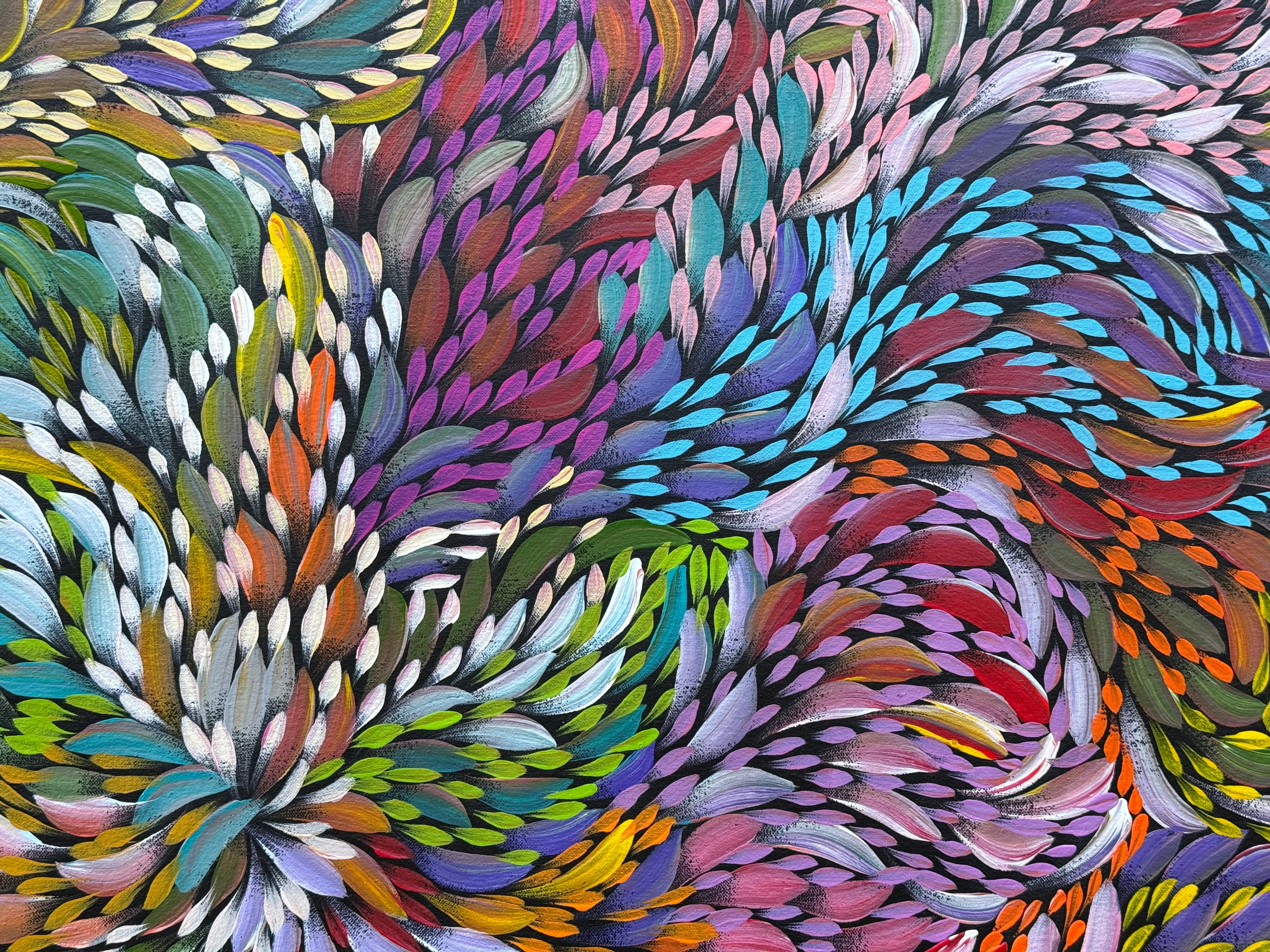 Caroline Numina - Bush Medicine Leaves .36-1
