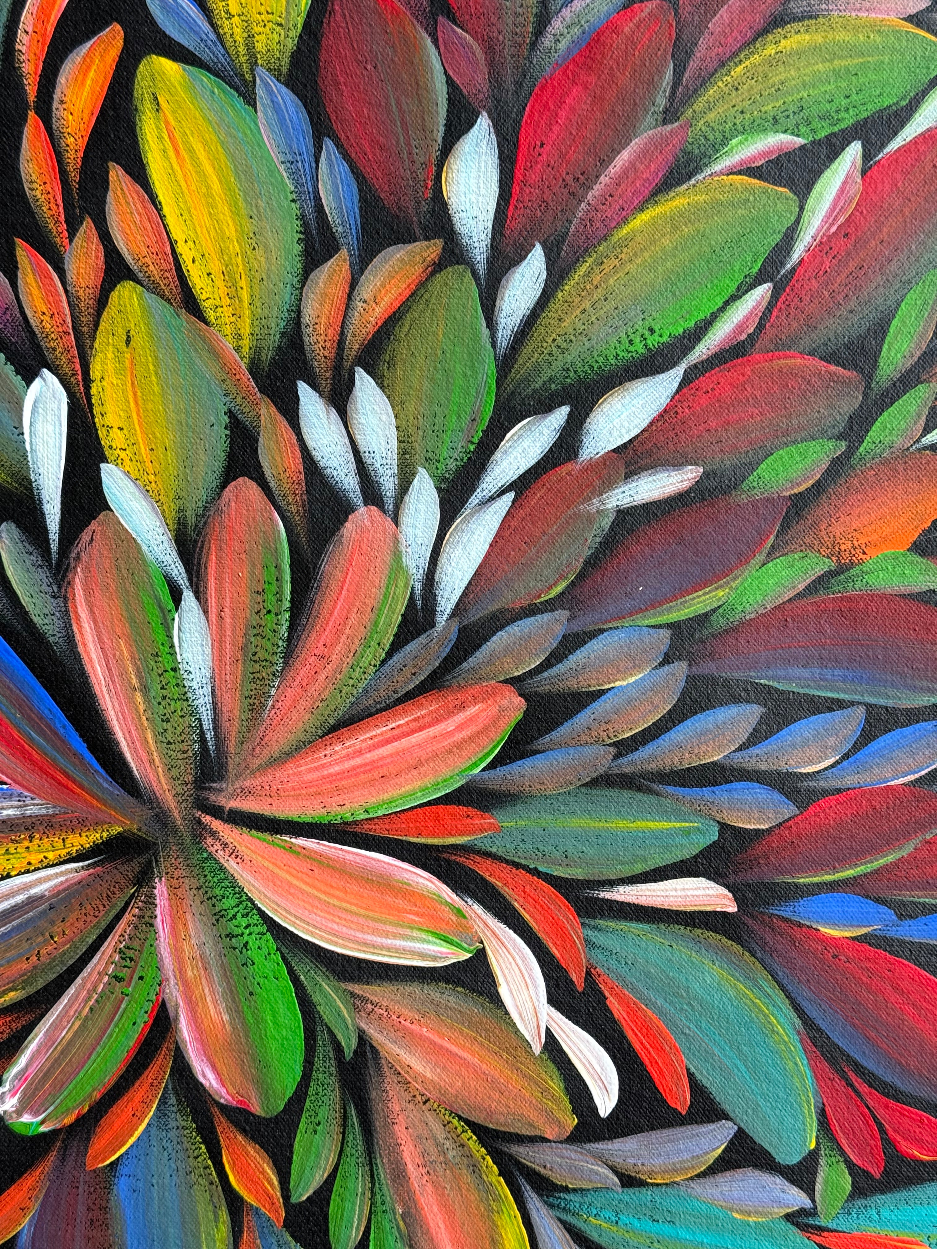 Louise Numina Napananka - Bush Medicine Leaves .16-64