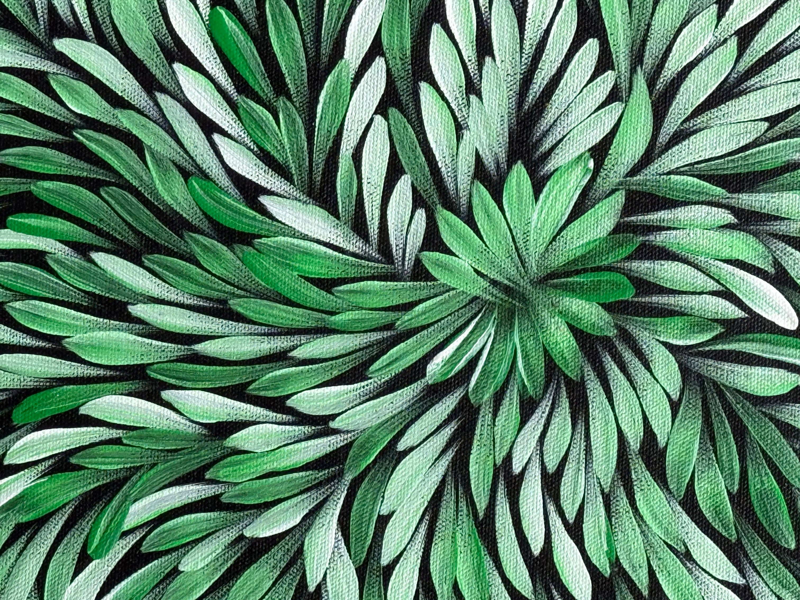 Sharon Turner - Bush Medicine Leaves - 52x38cm .16-12