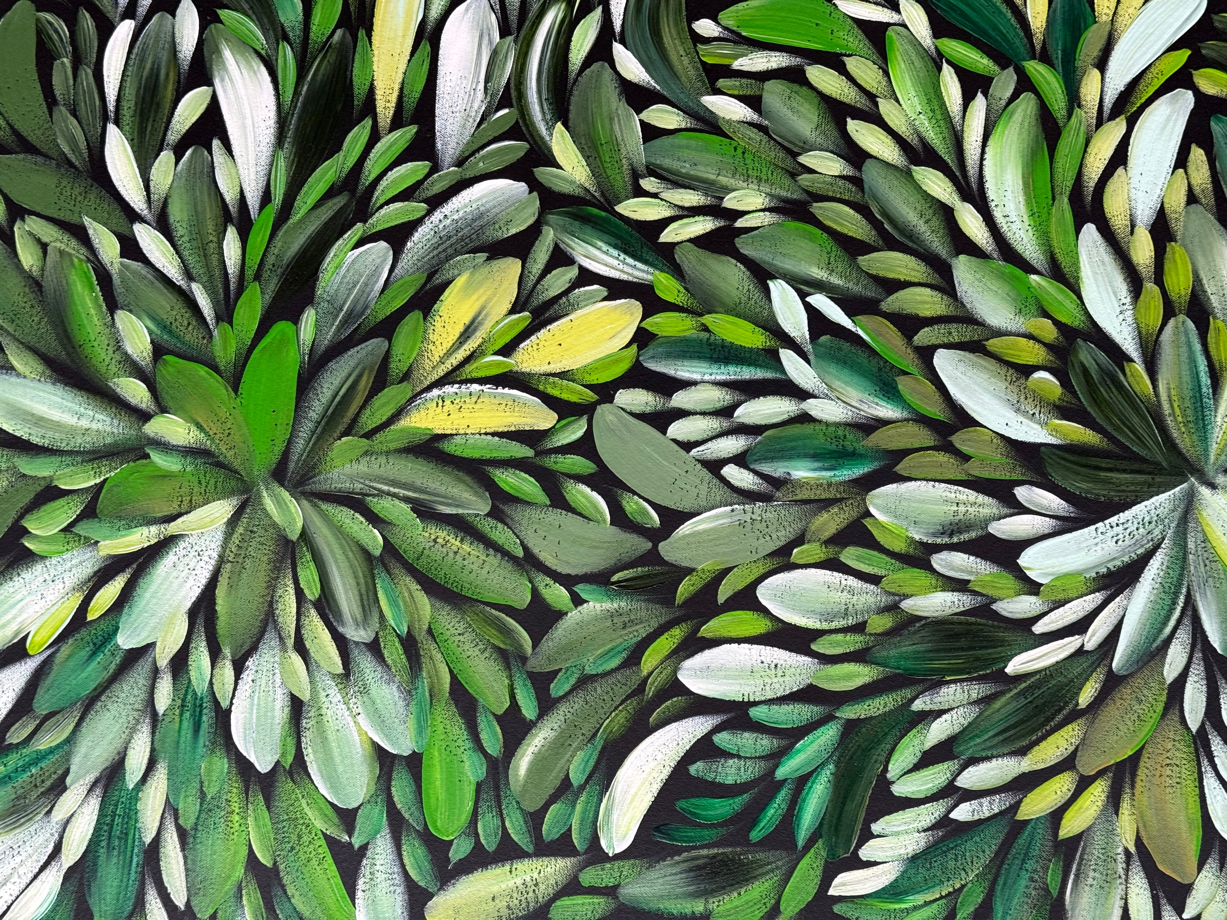 Louise Numina Napananka - Bush Medicine Leaves .22-23