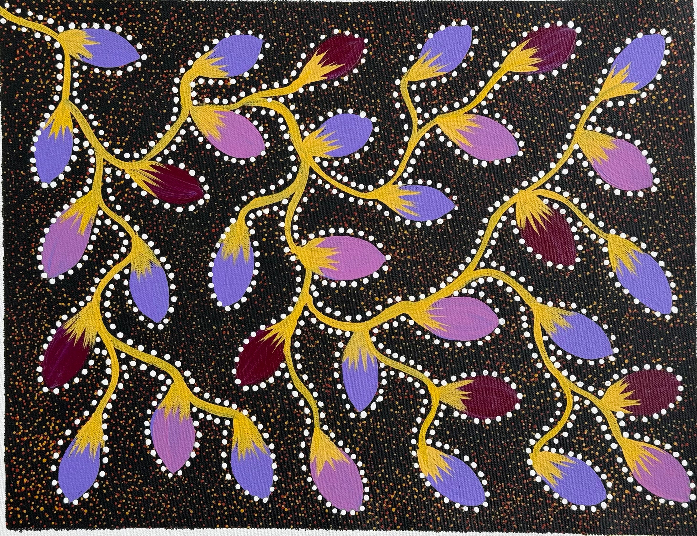 Jacinta Numina Waugh - Bush Plums .12-14