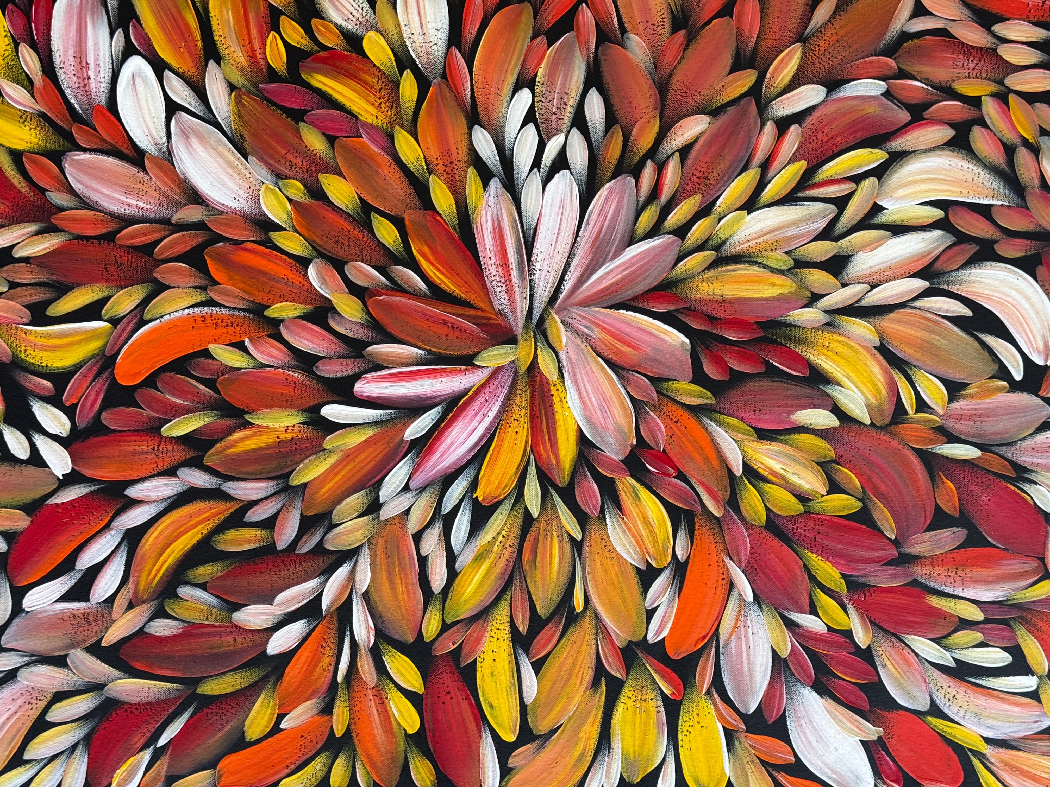 Louise Numina Napananka - Bush Medicine Leaves .21-16