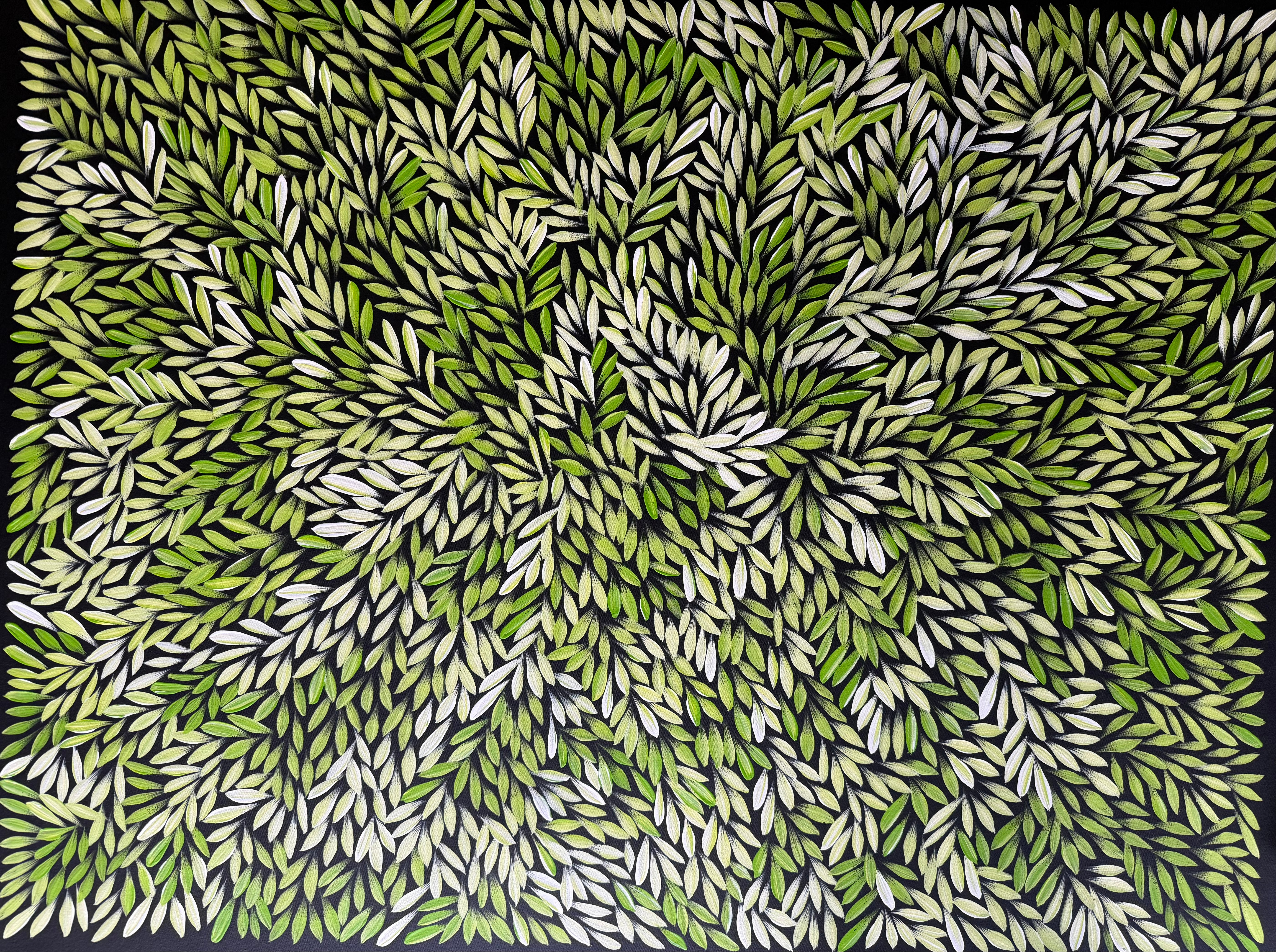 Sharon Numina - Bush Medicine Leaves .33-5