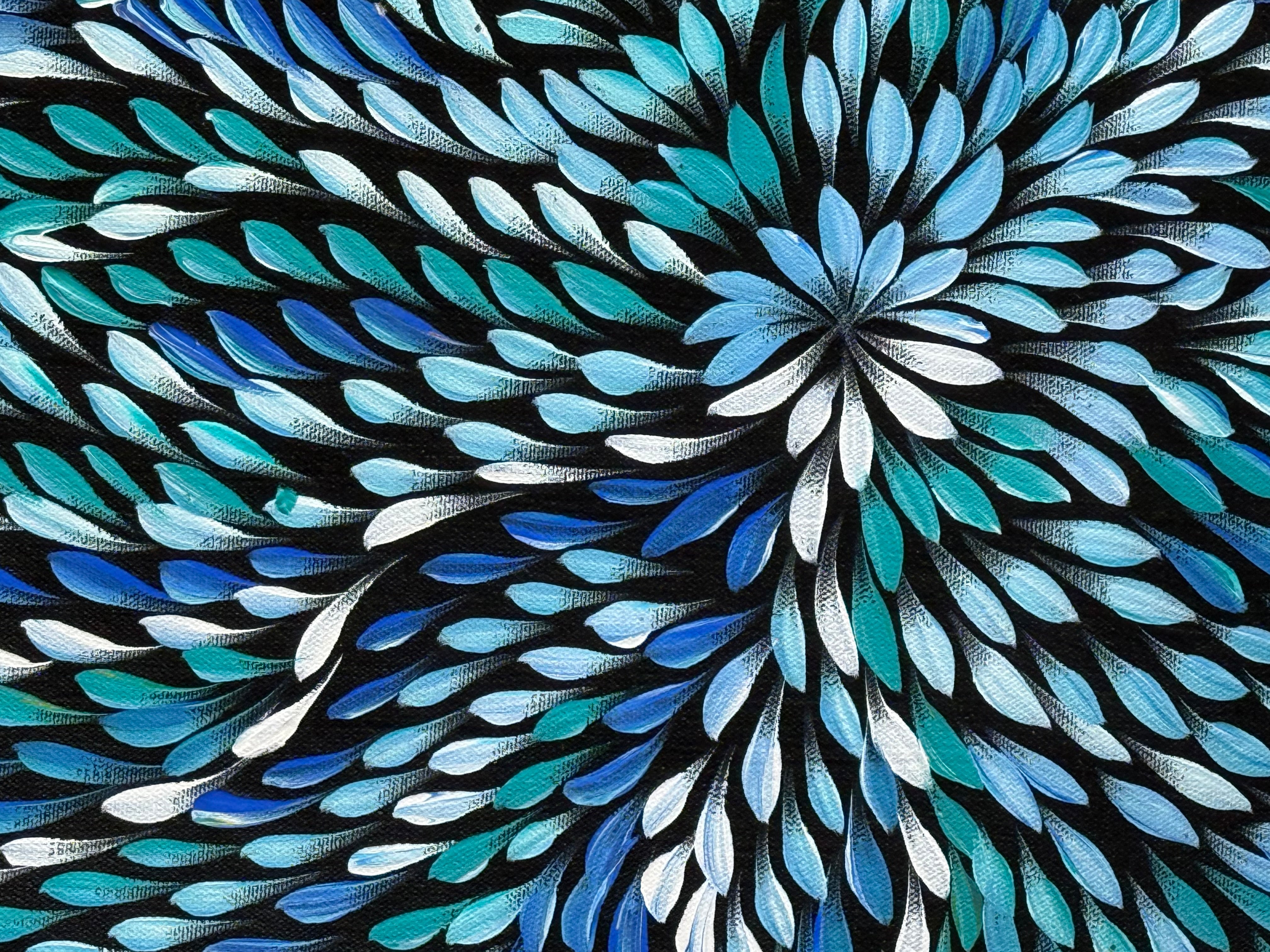 Caroline Numina - Bush Medicine Leaves .04-40