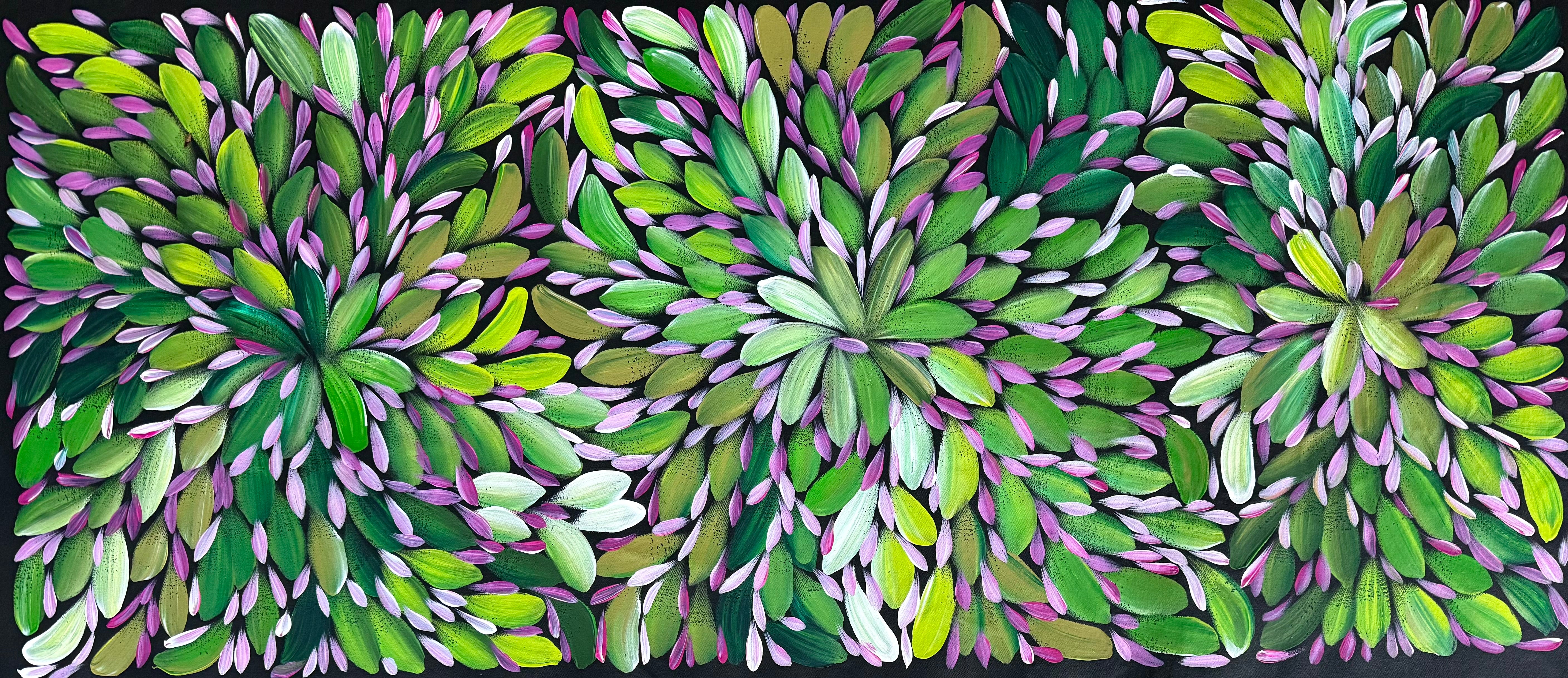 Louise Numina Napananka - Bush Medicine Leaves .16-30