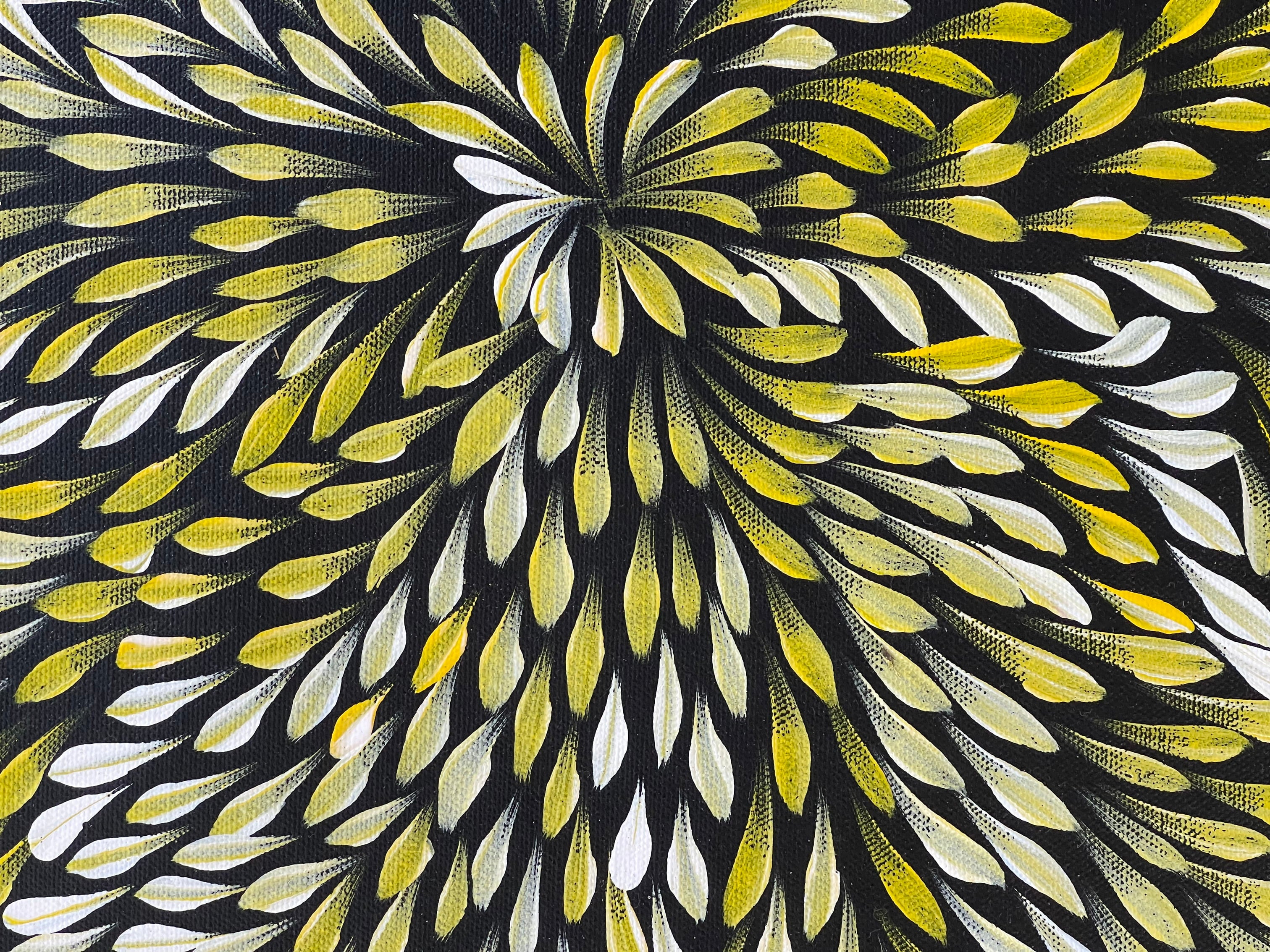 Caroline Numina - Bush Medicine Leaves - 52x37cm .62-10