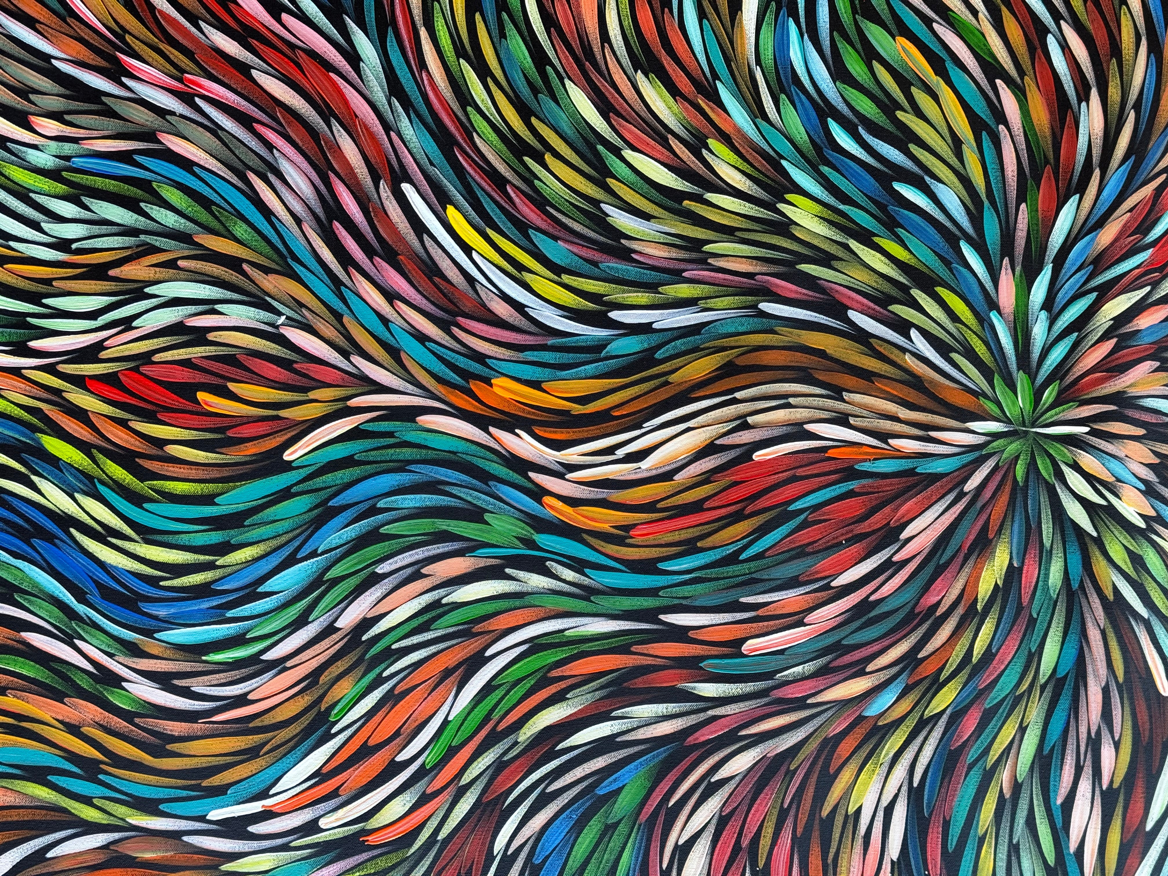 Sharon Numina - Bush Medicine Leaves .01-1