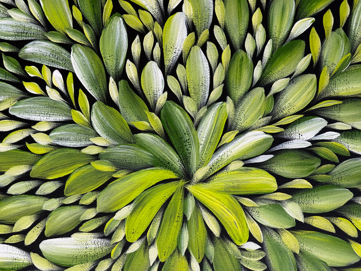Louise Numina Napananka - Bush Medicine Leaves .43-9