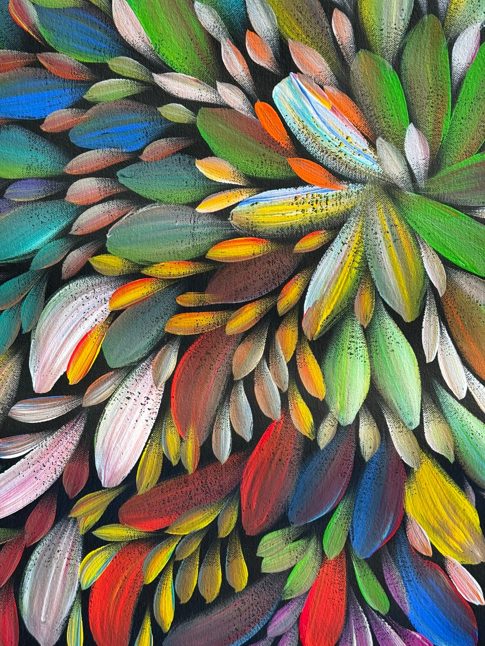 Louise Numina Napananka - Bush Medicine Leaves .49-12