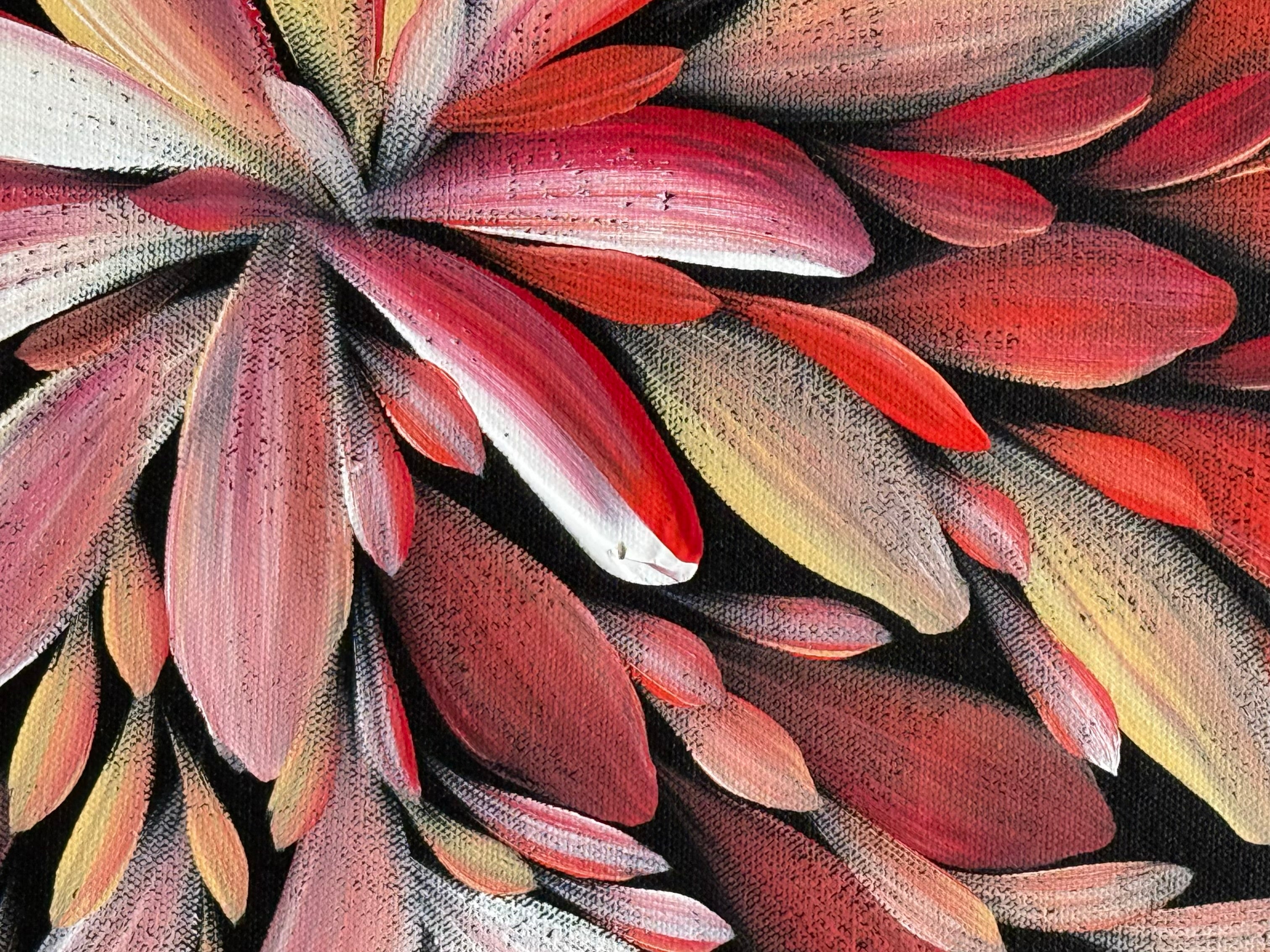 Louise Numina Napananka - Bush Medicine Leaves .57-29