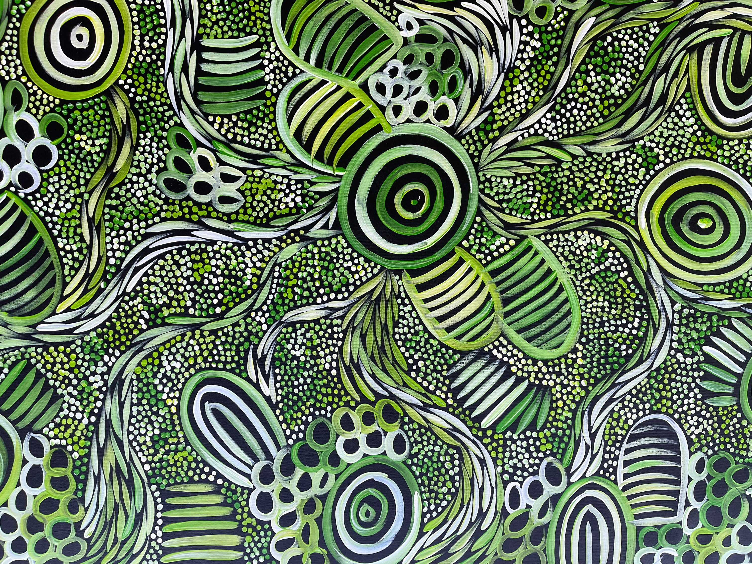 Sharon Numina - My Country Dreaming Bush Medicine and Bush Melon - 147x91cm .80-1