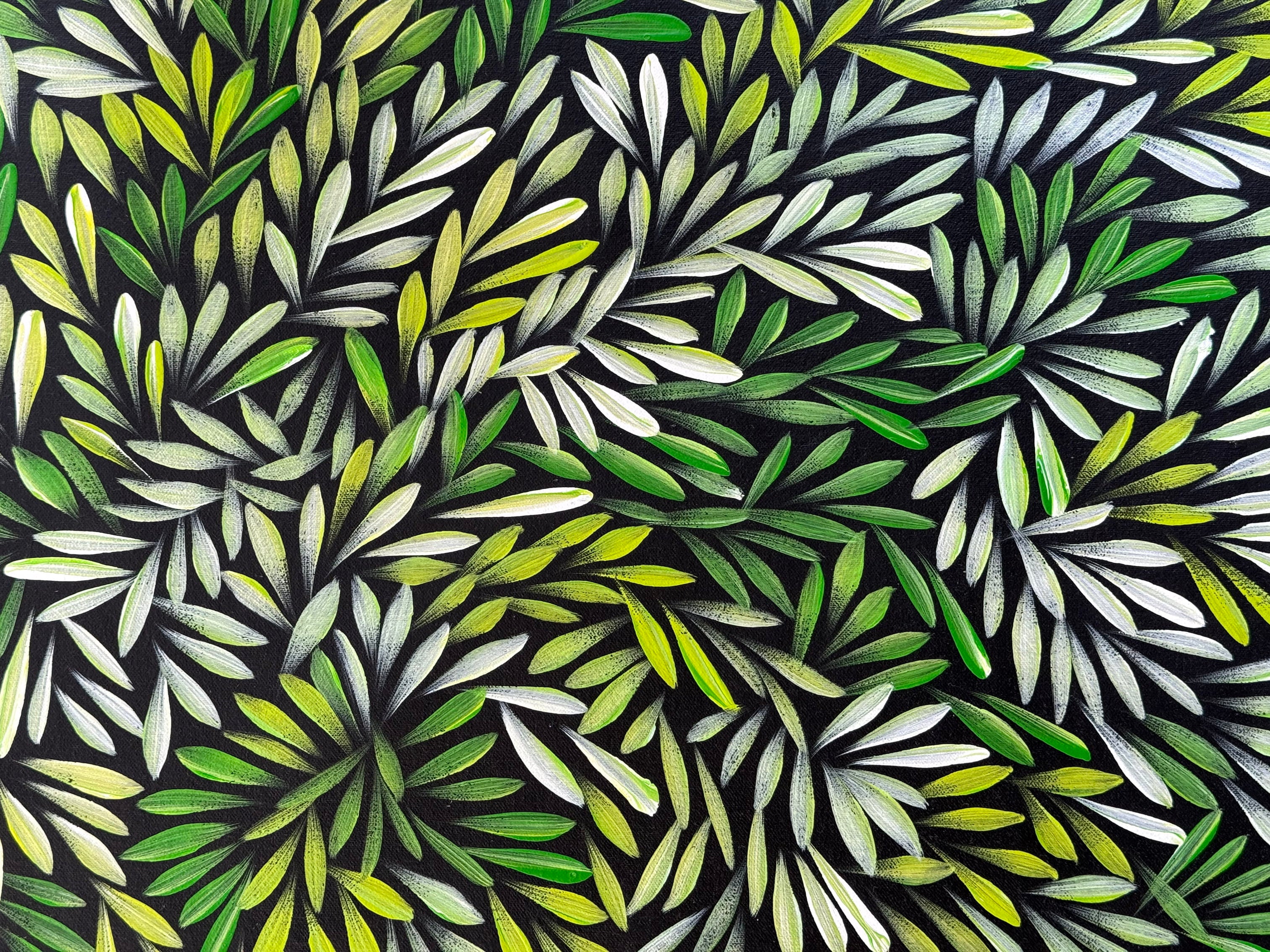 Sharon Numina - Bush Medicine Leaves - 62x92cm .14-11