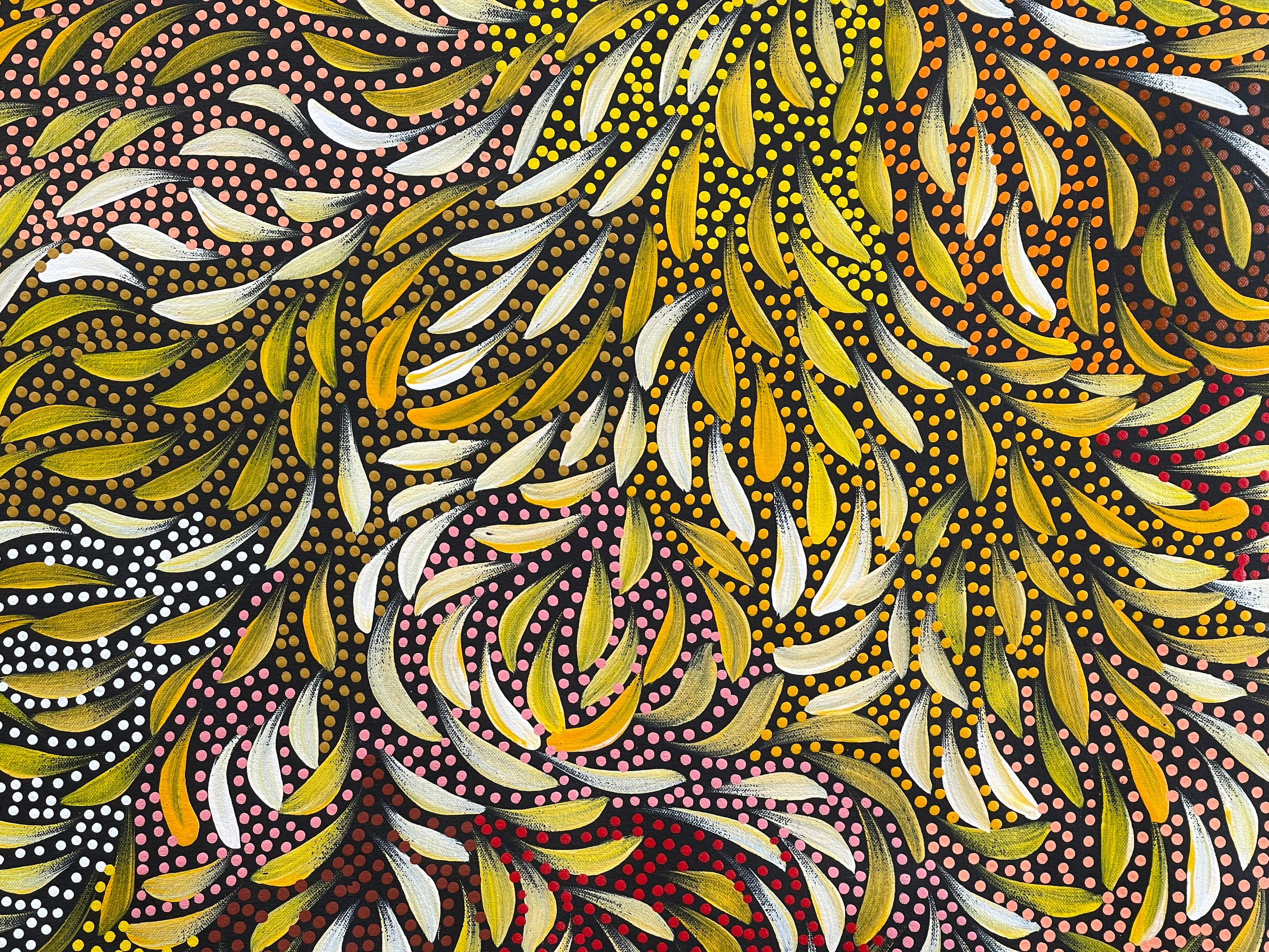 Caroline Numina - Bush Medicine Leaves and Seeds .25-6