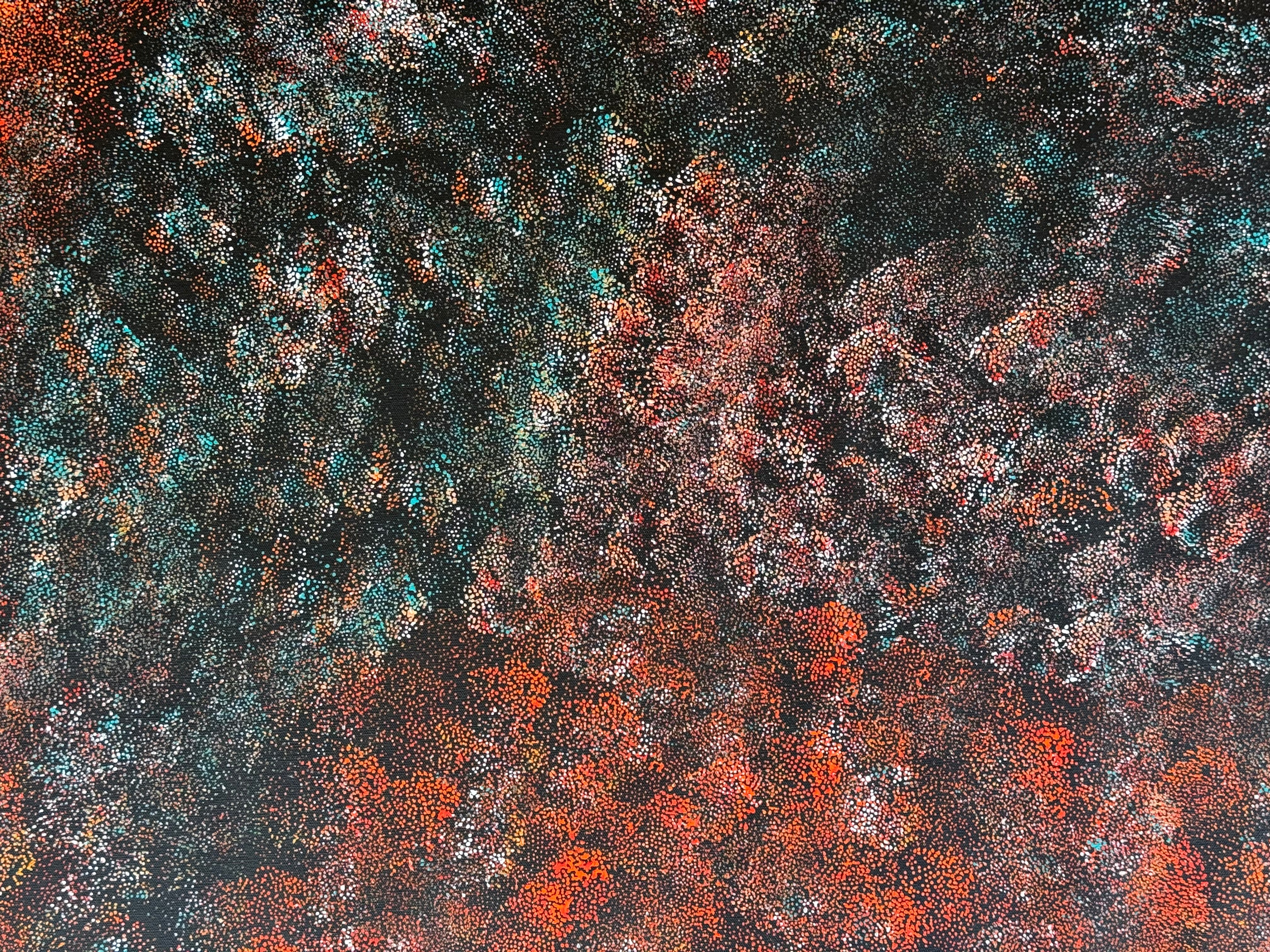 Lanita Numina - Thorny Lizard Changing Colours .97-5