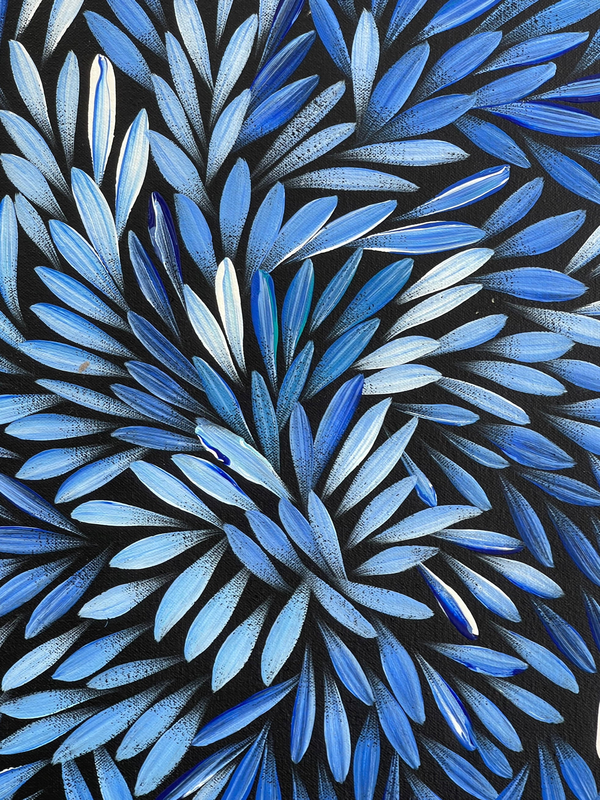 Sharon Numina - Bush Medicine Leaves - 55x60cm .28-14