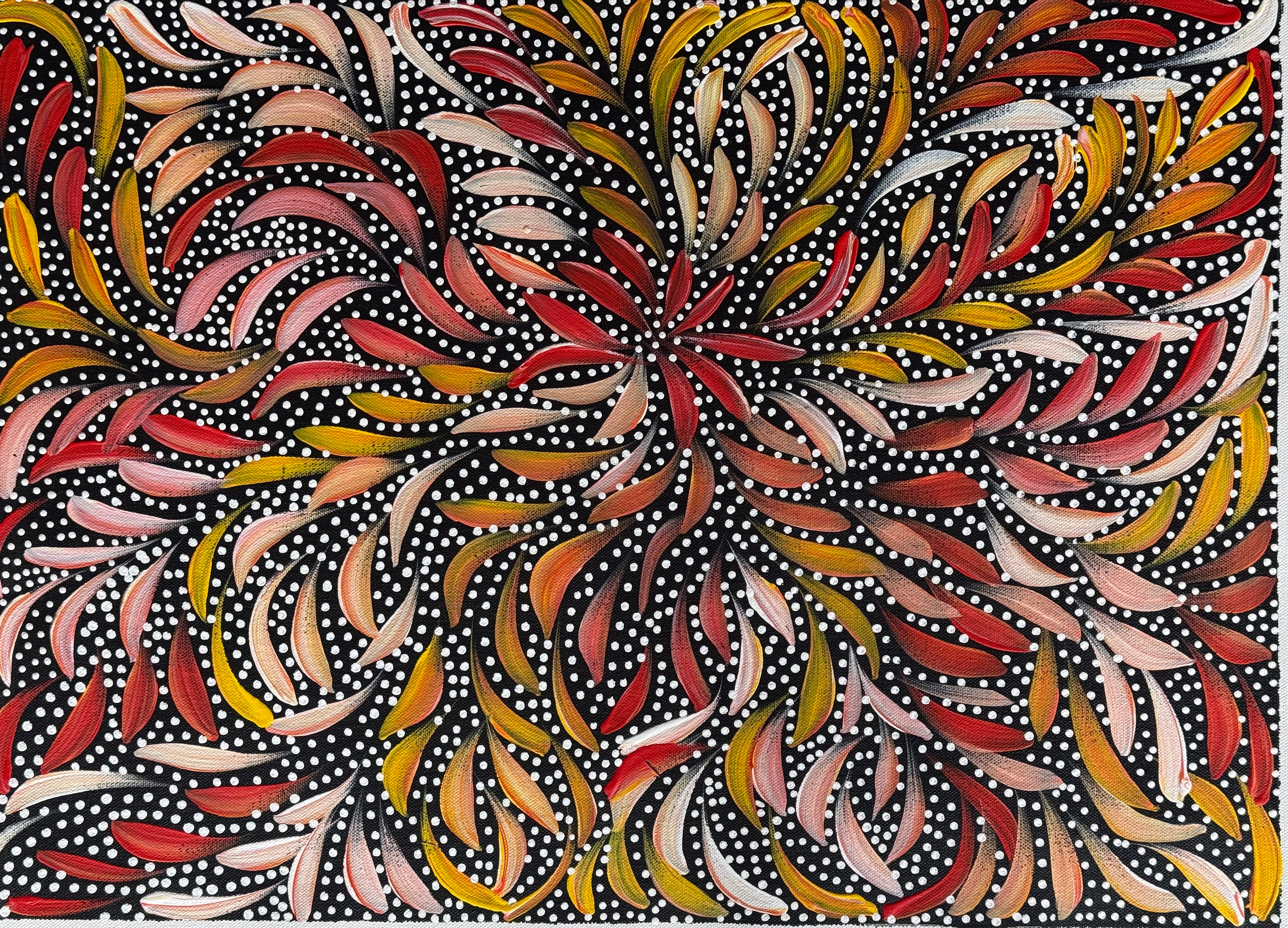Caroline Numina - Bush Medicine Leaves and Seeds .35-14