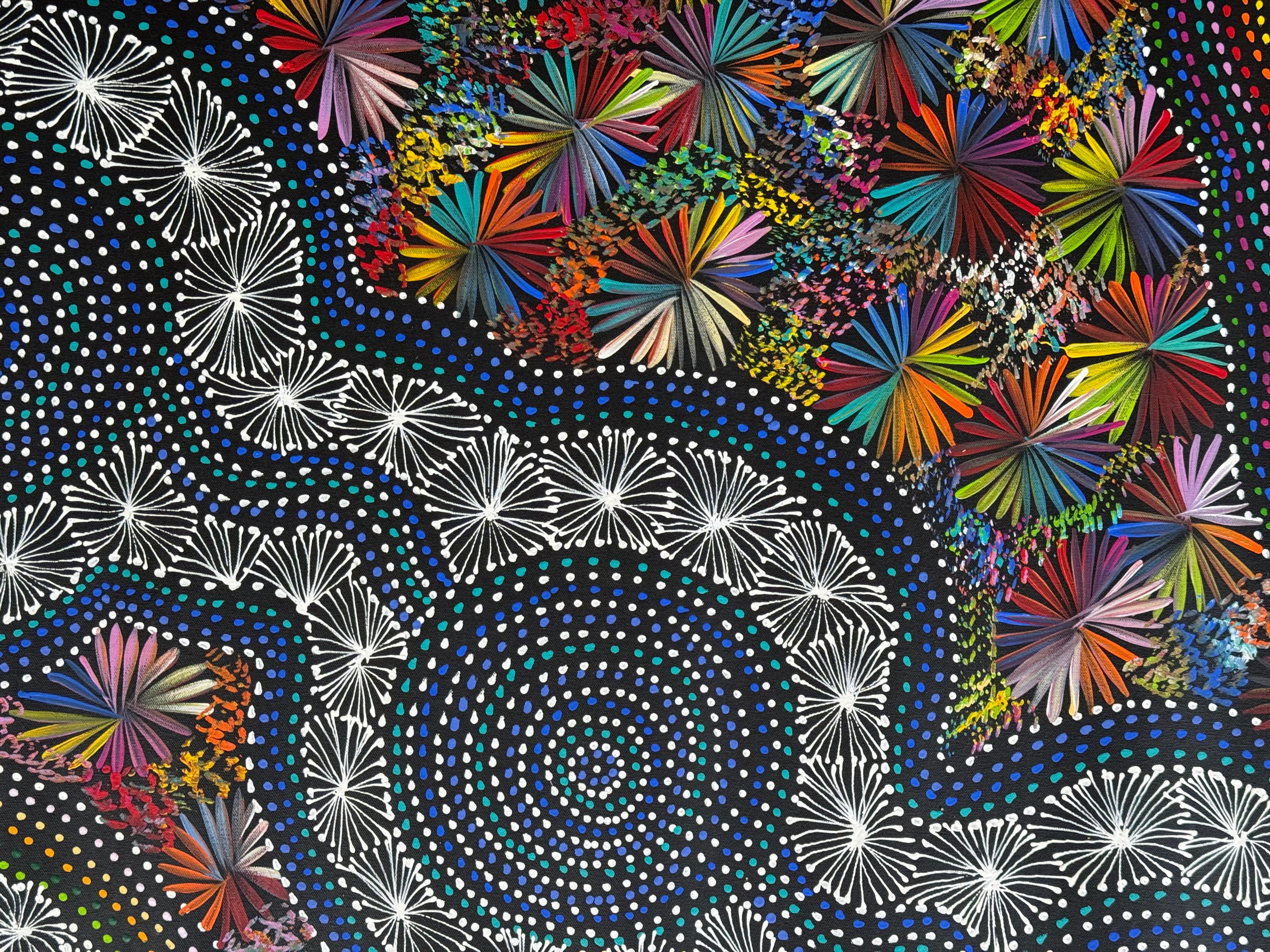 Selina Numina Kamprina - Seeds and Waterholes .92-24