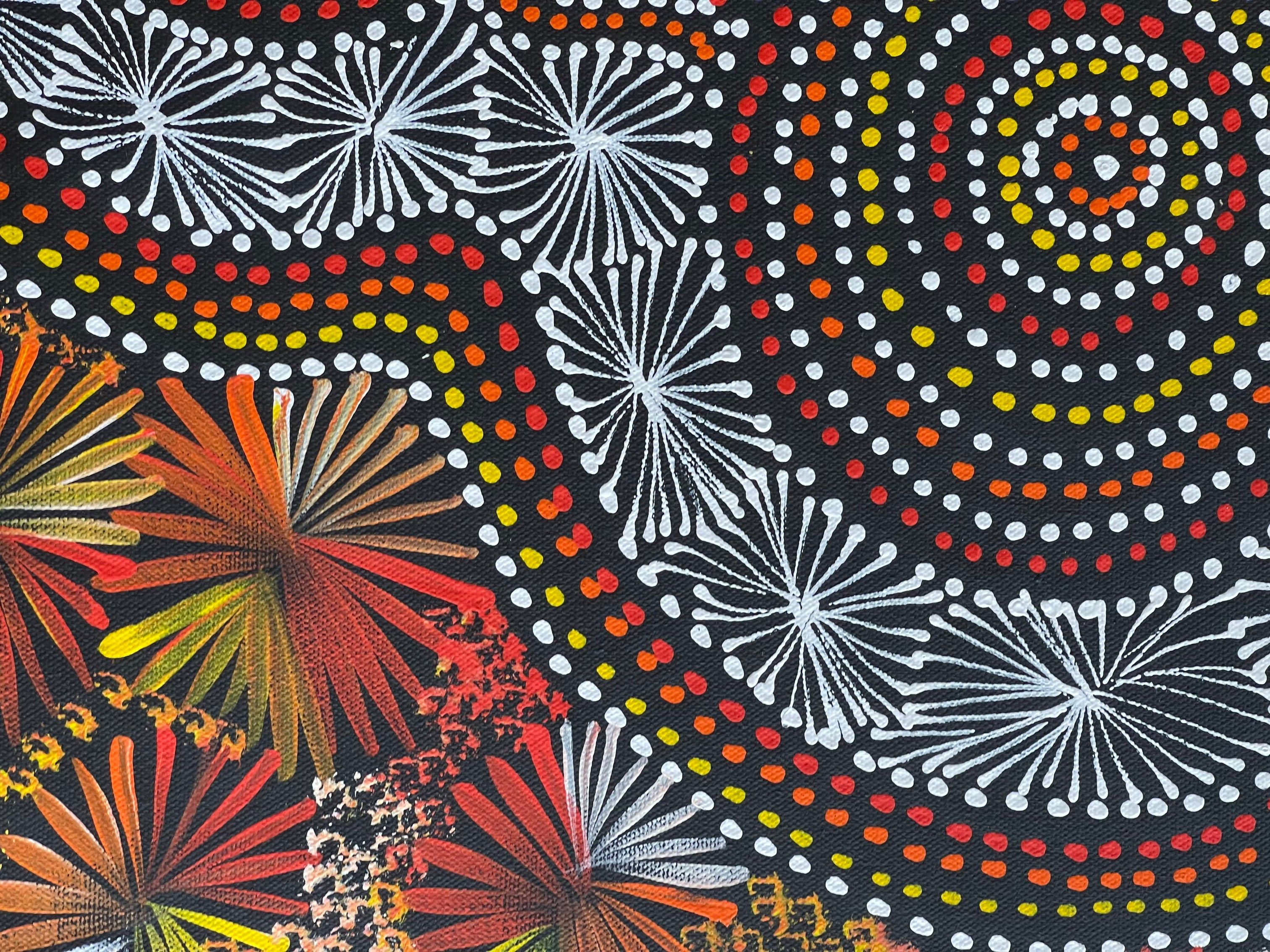 Selina Numina Kamprina - Bush Seeds and Waterholes .31-10